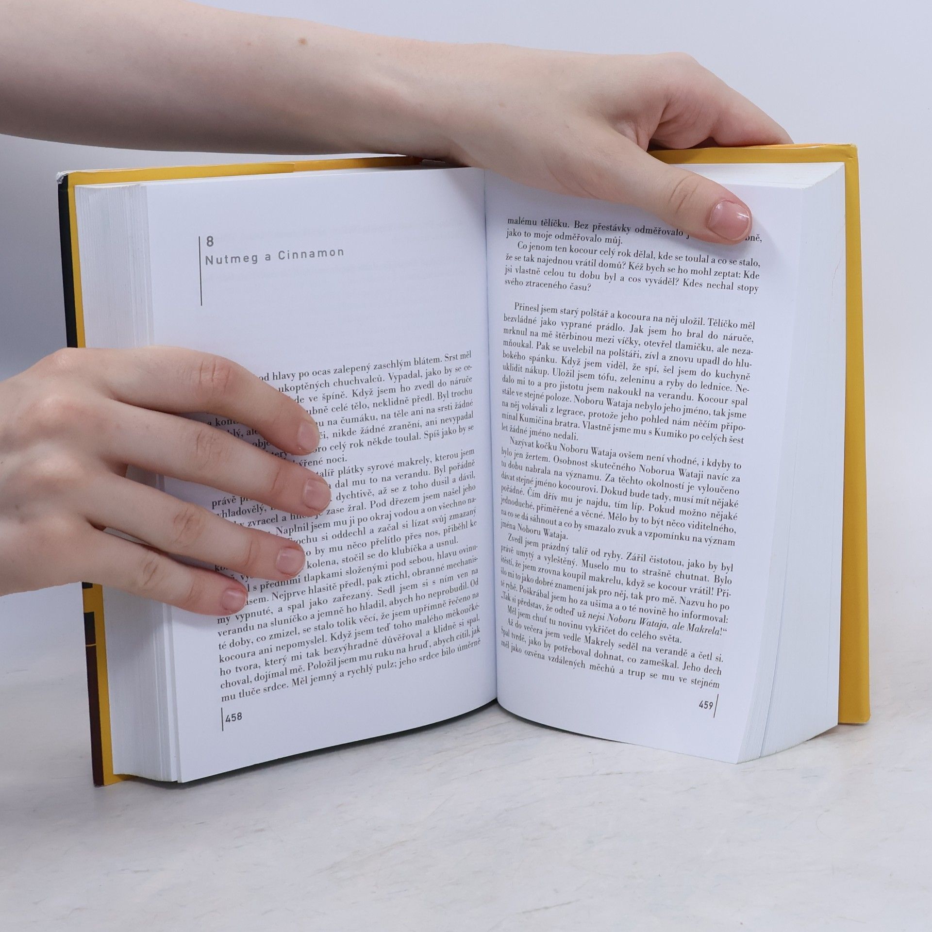 Haruki Murakami Kronika ptáčka na klíček