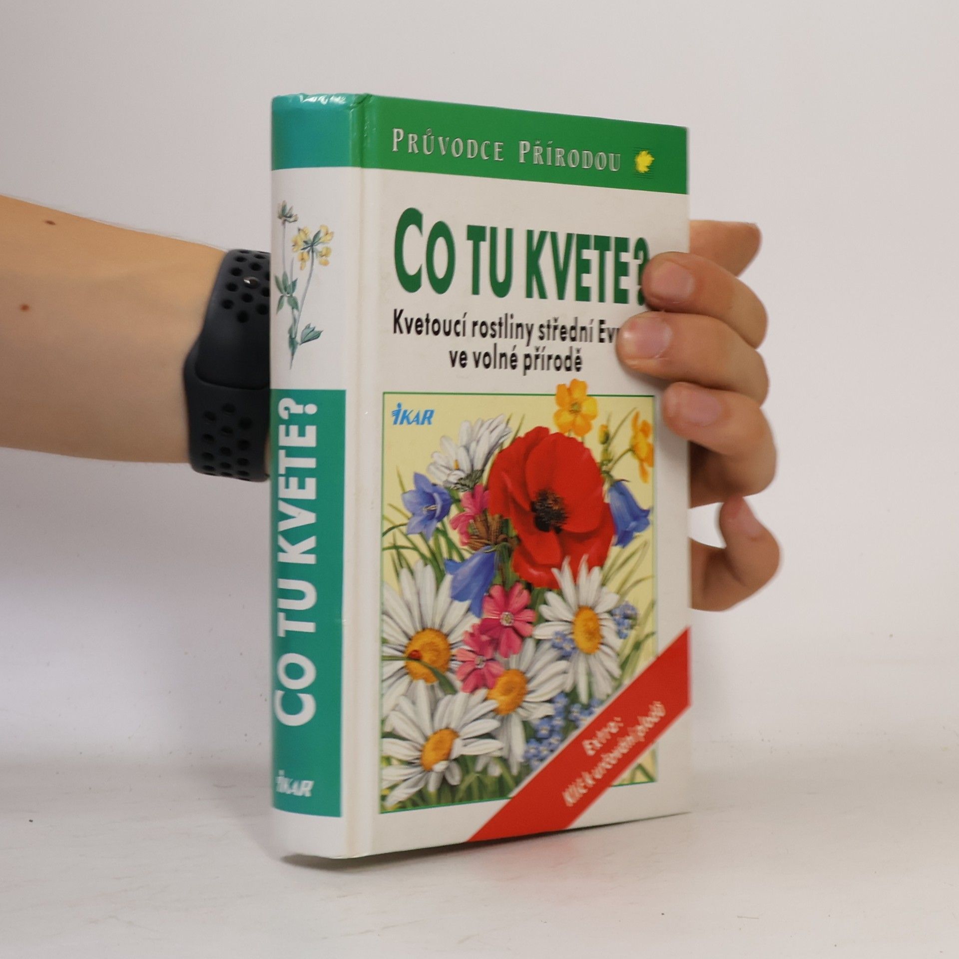 Dietmar Aichele Co tu kvete?