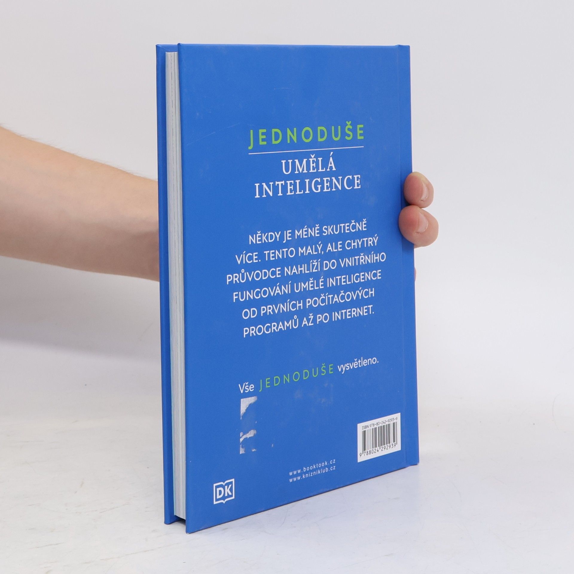 Lenka Strnadová Jednoduše. Umělá inteligence