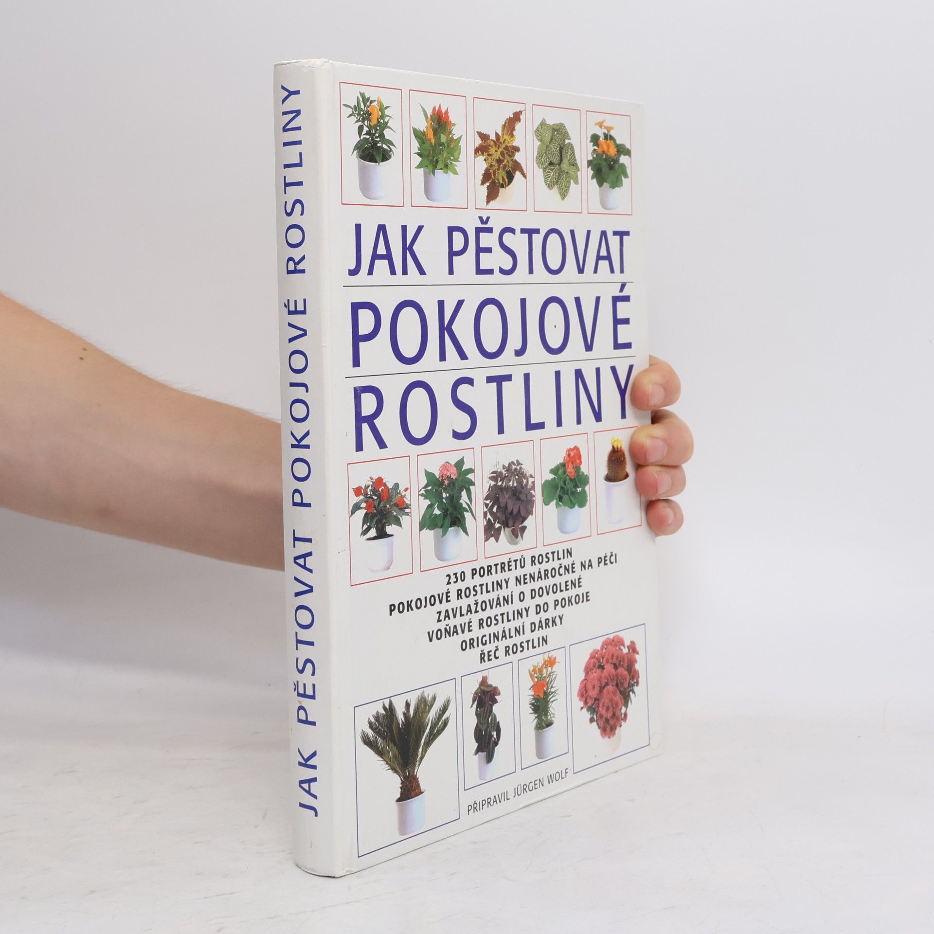 Jürgen Wolff Jak pěstovat pokojové rostliny