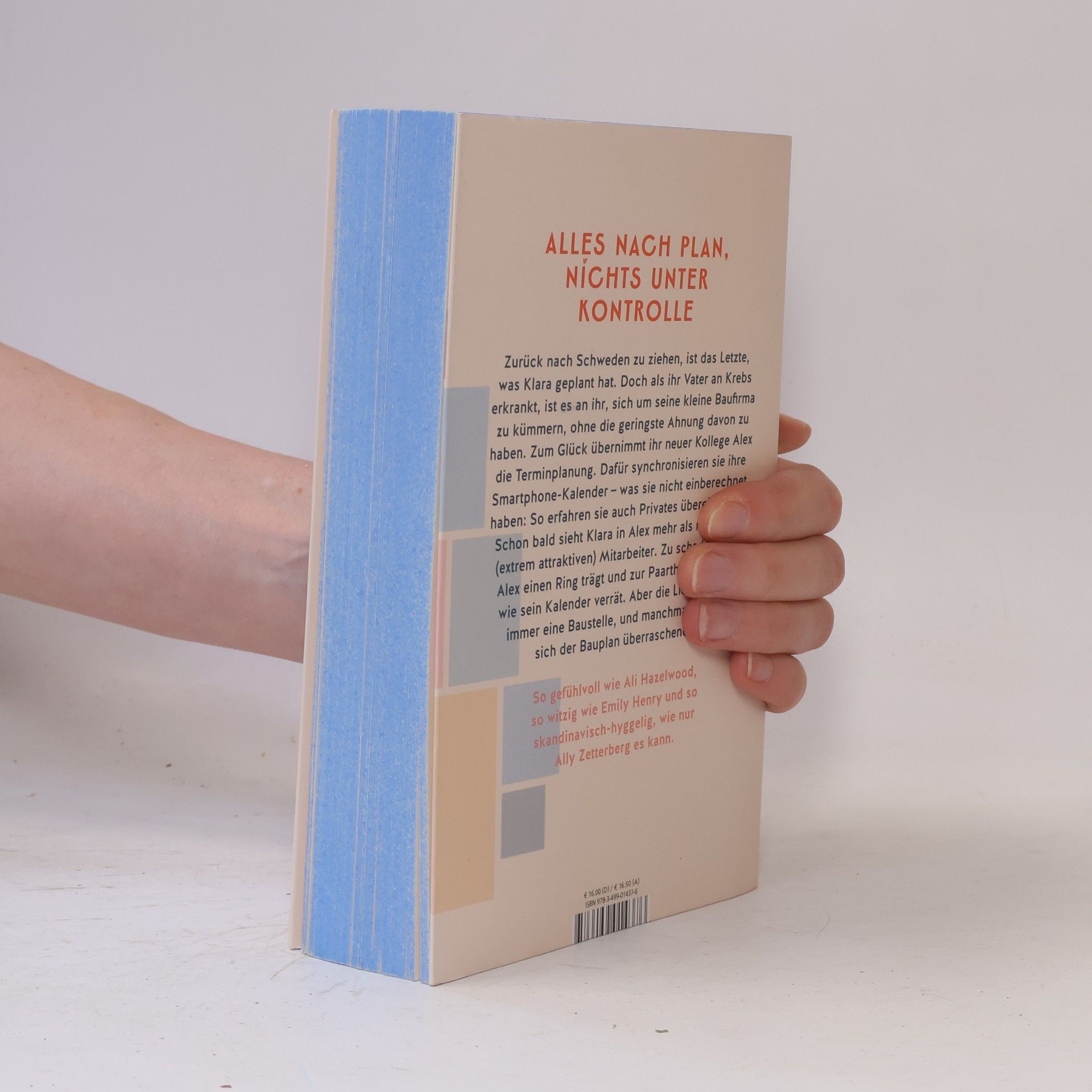 Ally Zetterberg The Happiness Blueprint