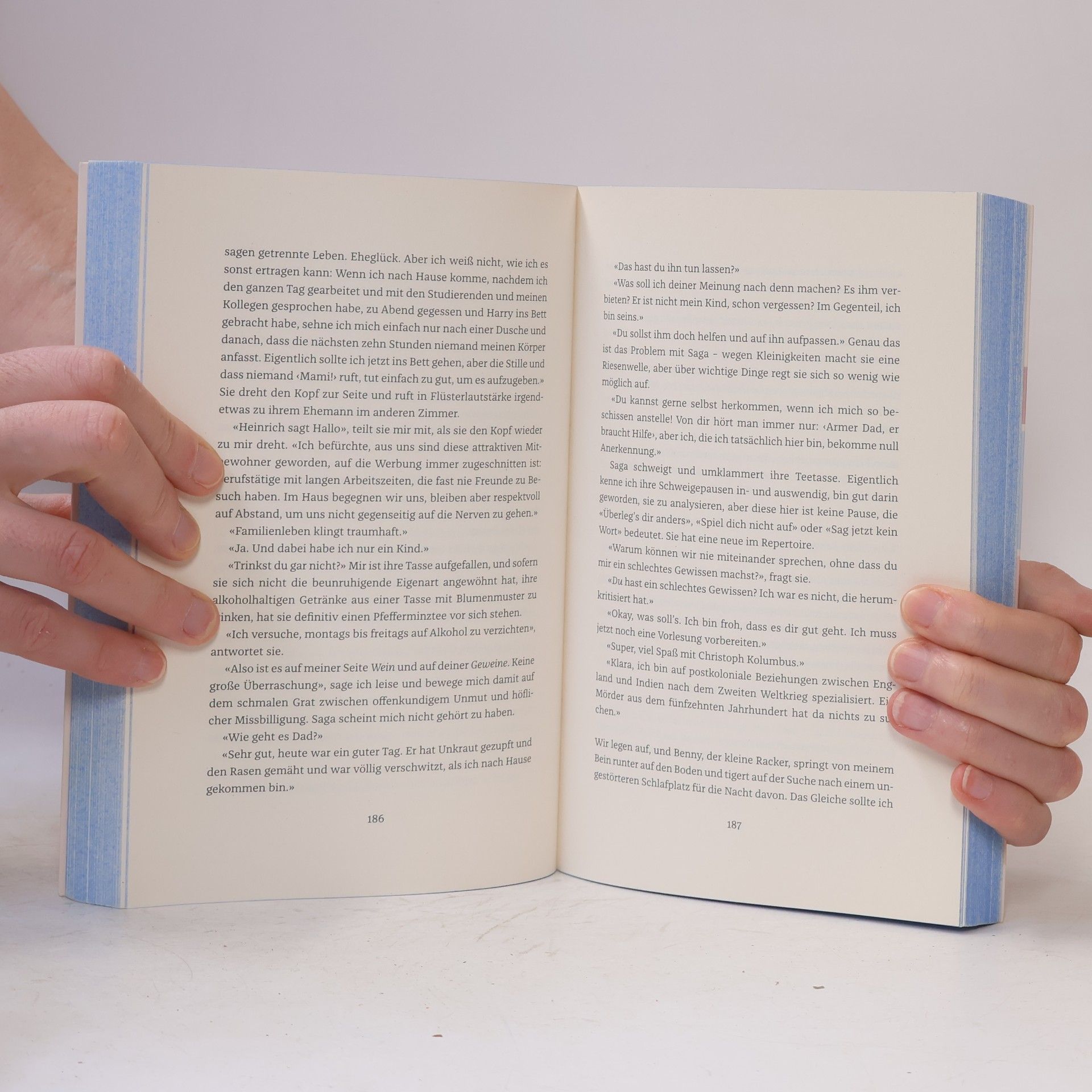 Ally Zetterberg The Happiness Blueprint
