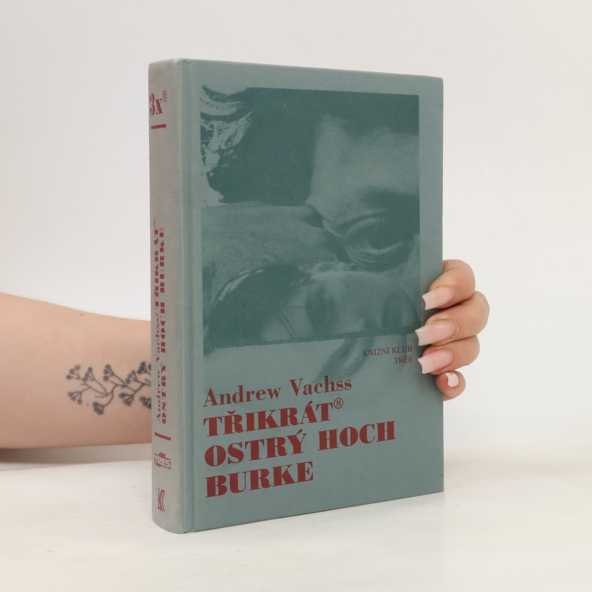 Andrew Vachss Třikrát ostrý hoch Burke
