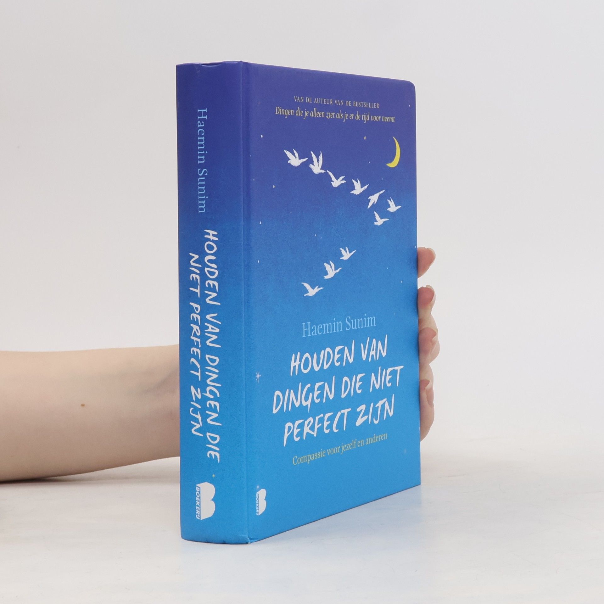 Haenim Sunim Houden van dingen die niet perfect zijn