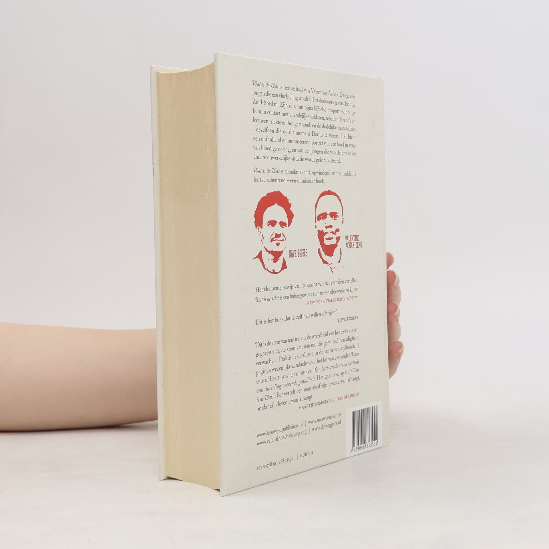 Dave Eggers Wat is de Wat