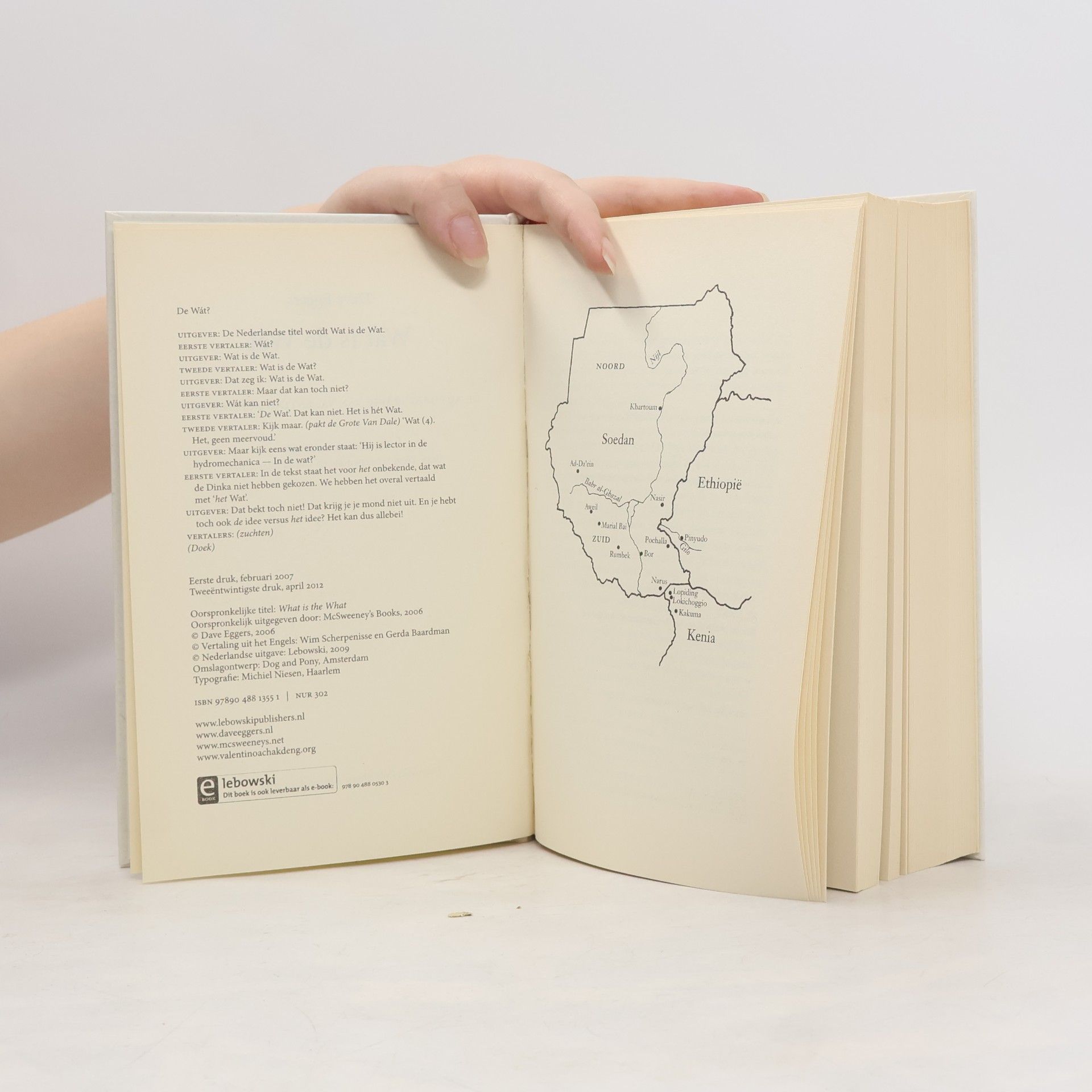 Dave Eggers Wat is de Wat