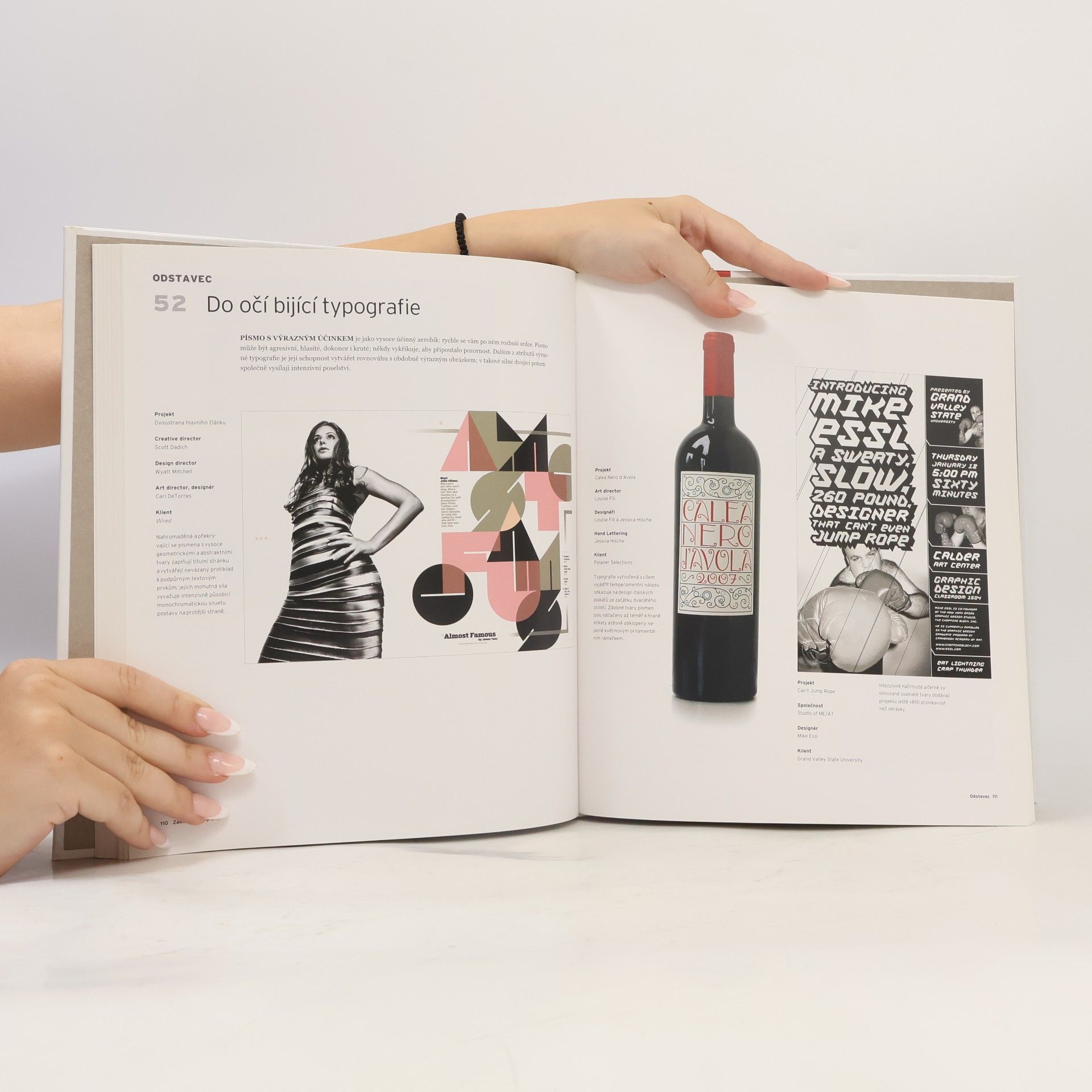 Ina Saltz Základy typografie