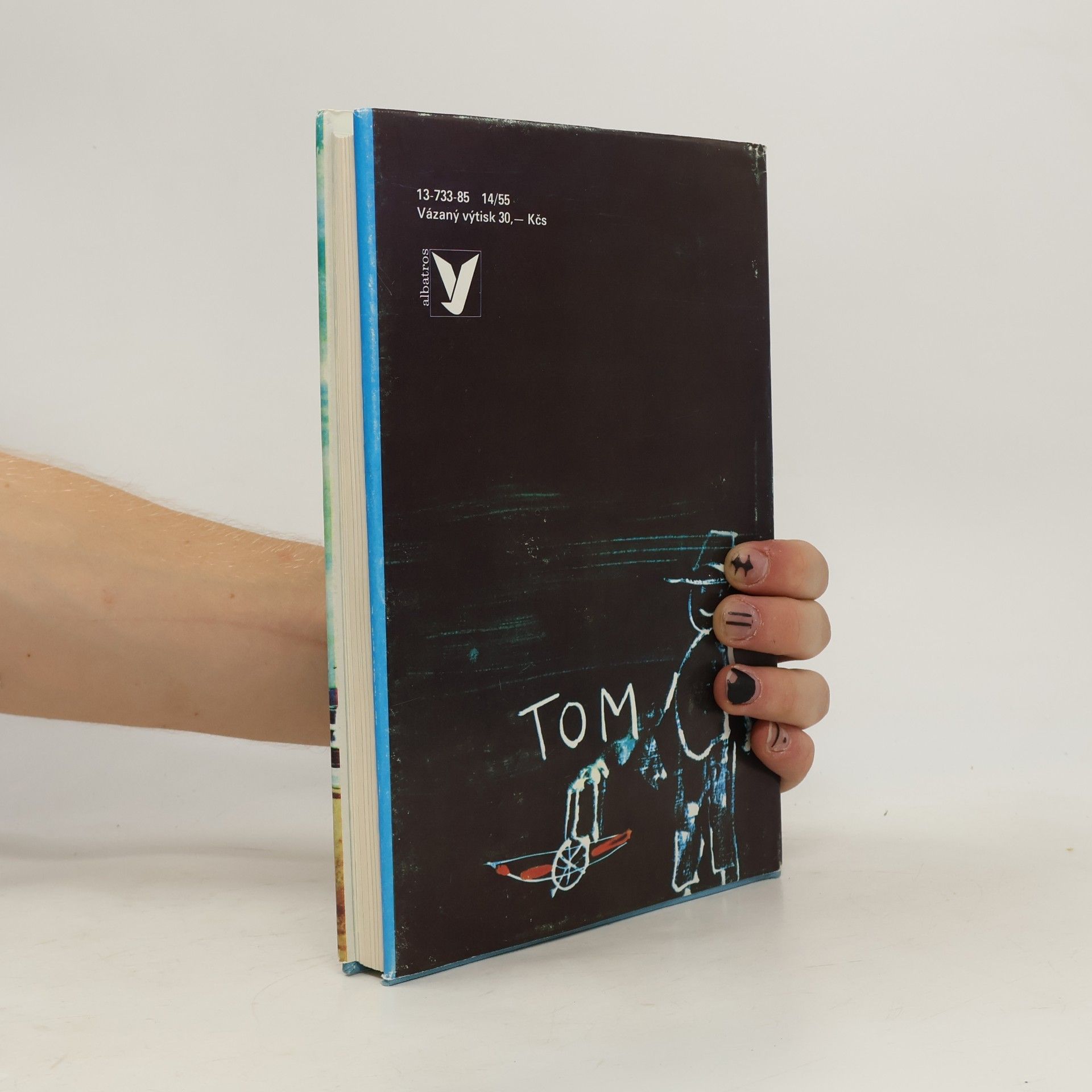 Mark Twain Dobrodružství Toma Sawyera