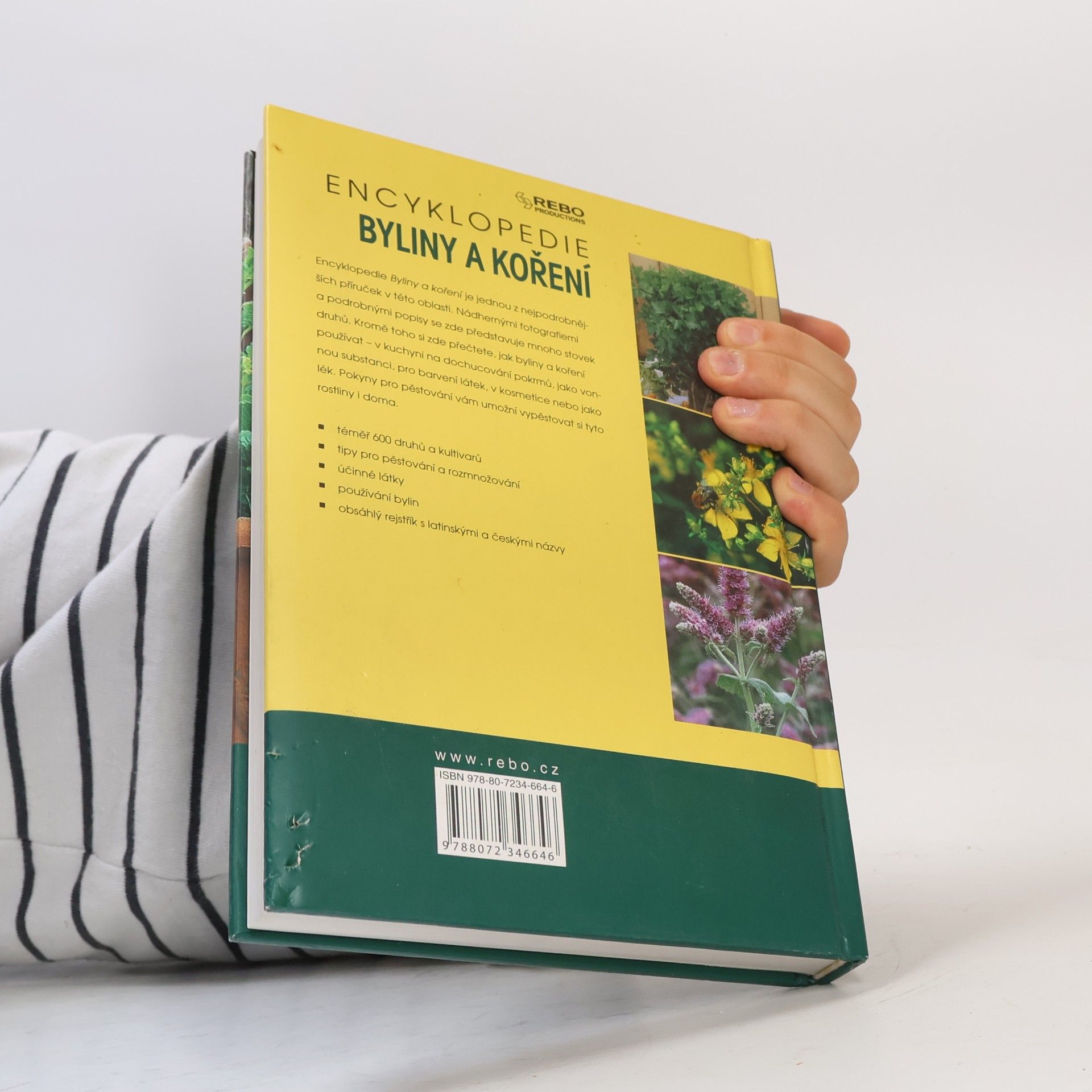 Nico Vermeulen Byliny a koření : encyklopedie