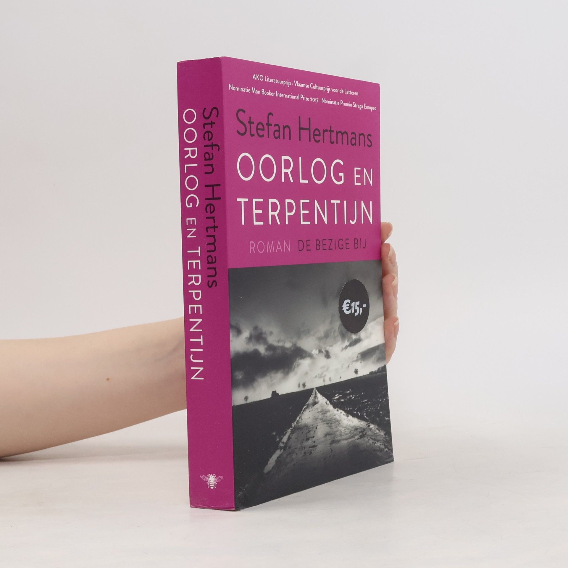 Stefan Hertmans Oorlog en terpentijn: roman