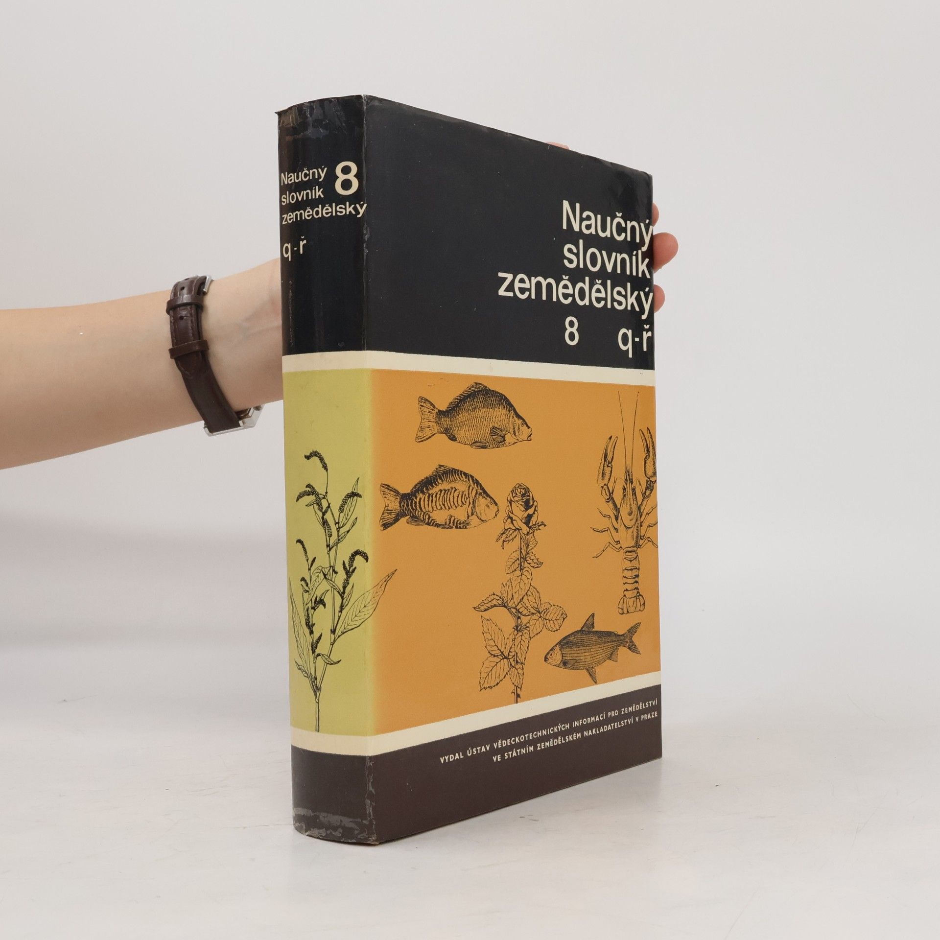 Autorenkollektiv Naučný slovník zemědělský 8. Q-Ř