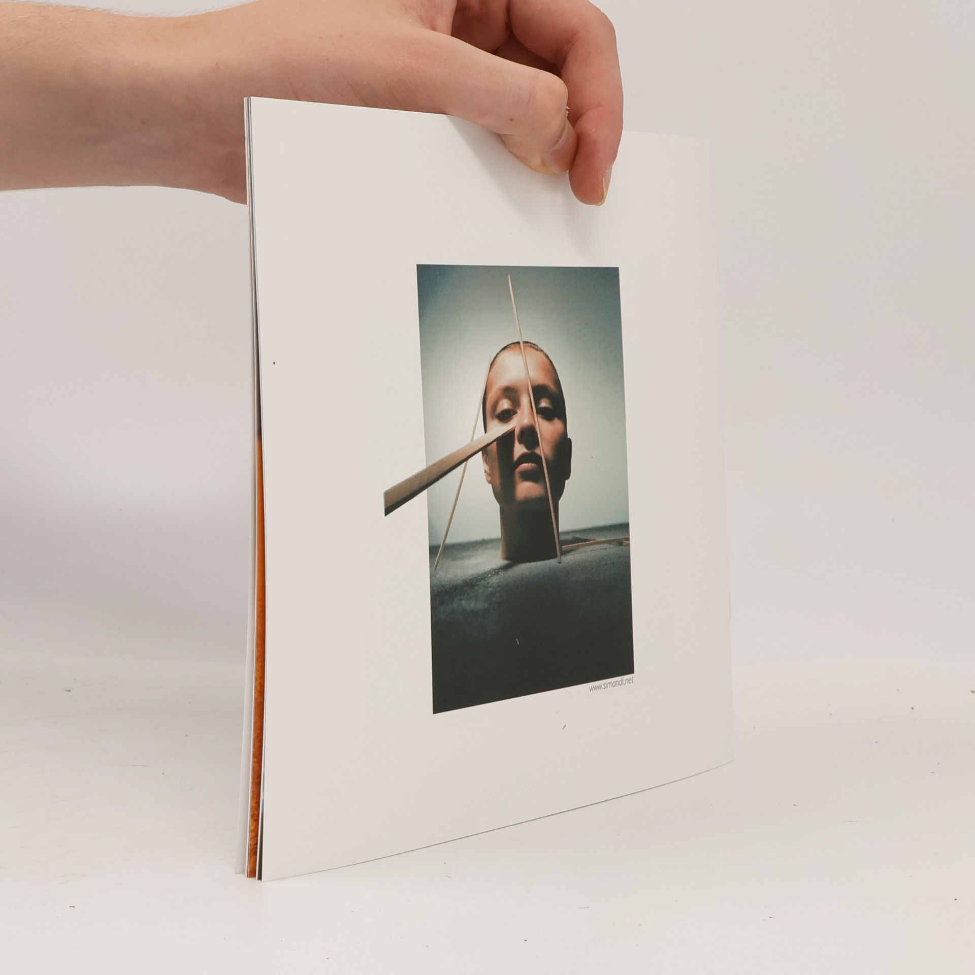 kolektiv Šimandl. Mánes. Srpen 2008