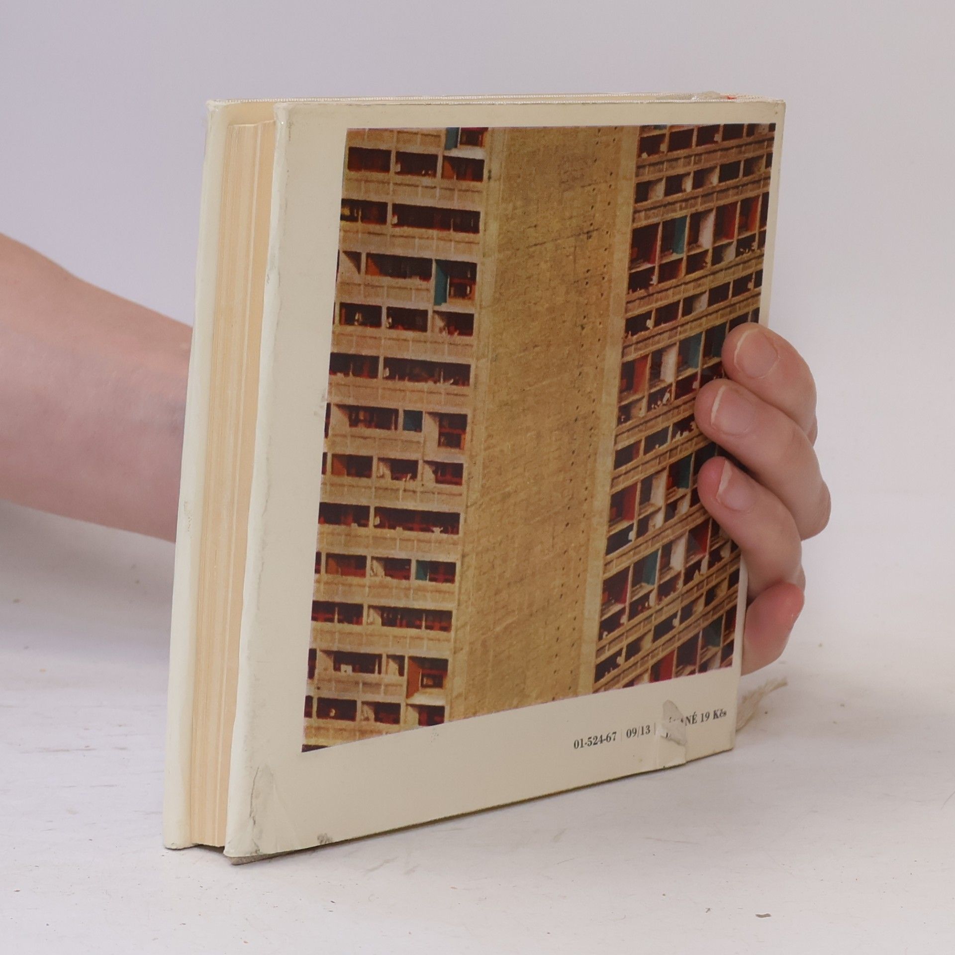 Sophie Daria Le Corbusier. Sociolog urbanismu