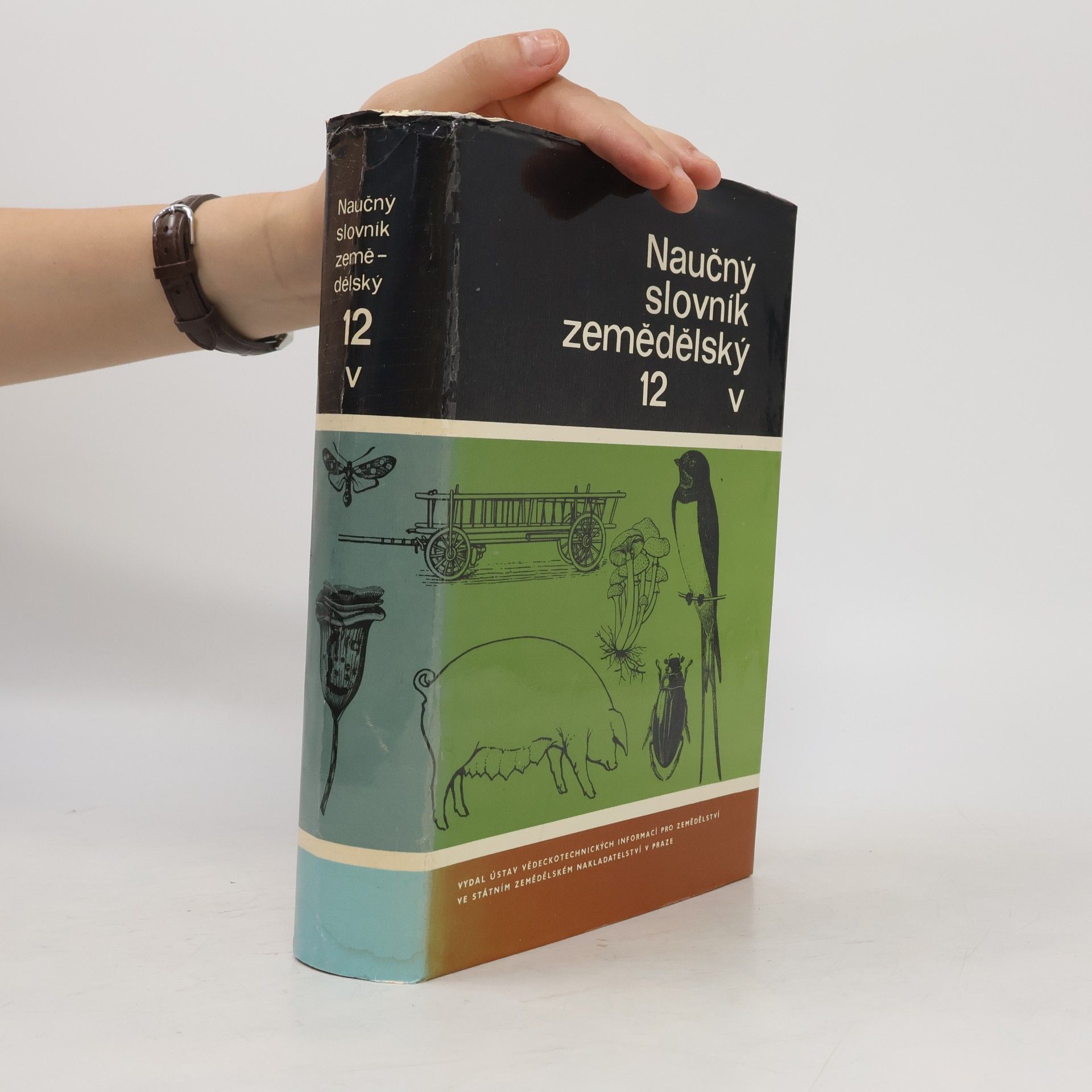 Autorenkollektiv Naučný slovník zemědělský 12. - V