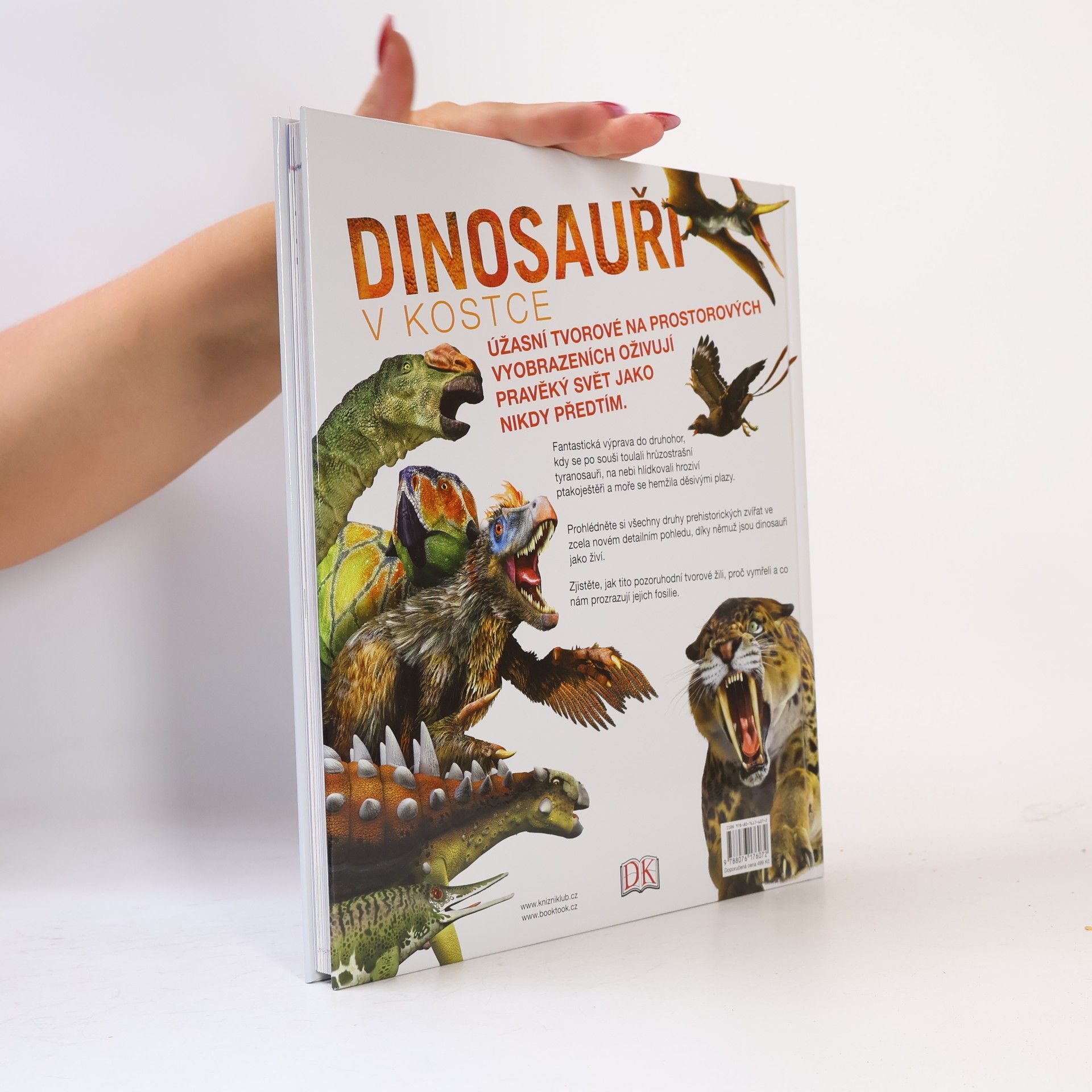 Autores varios Dinosauři v kostce