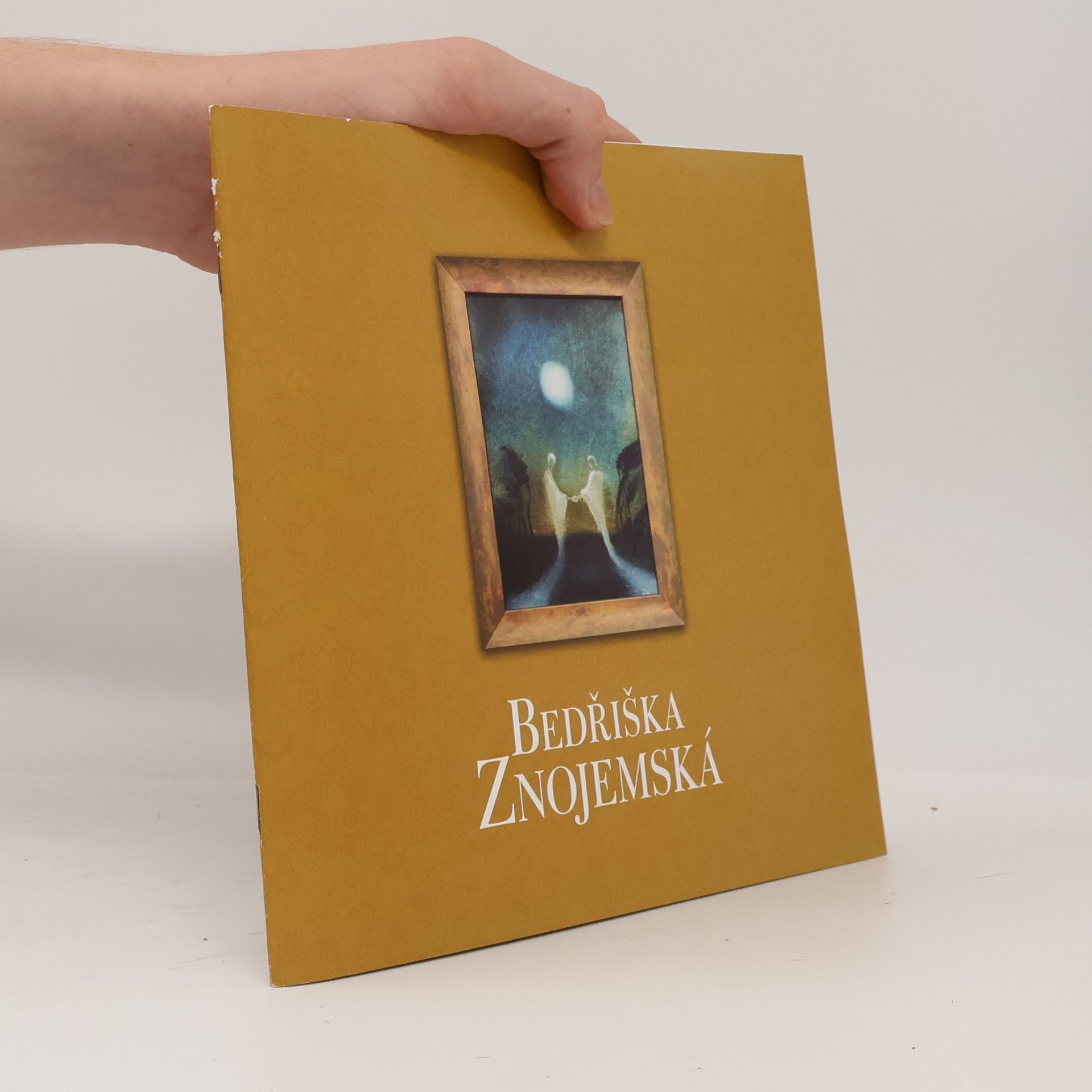 kolektiv Bedřiška Znojemská