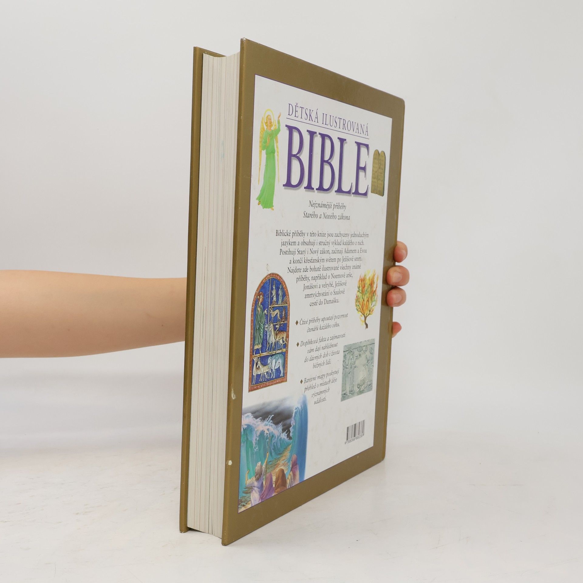 Janet Dyson Dětská ilustrovaná Bible