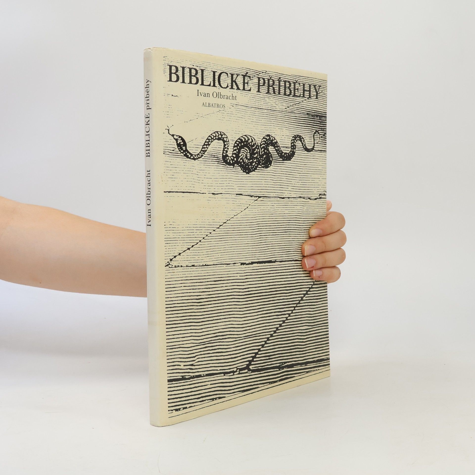 Biblické příběhy