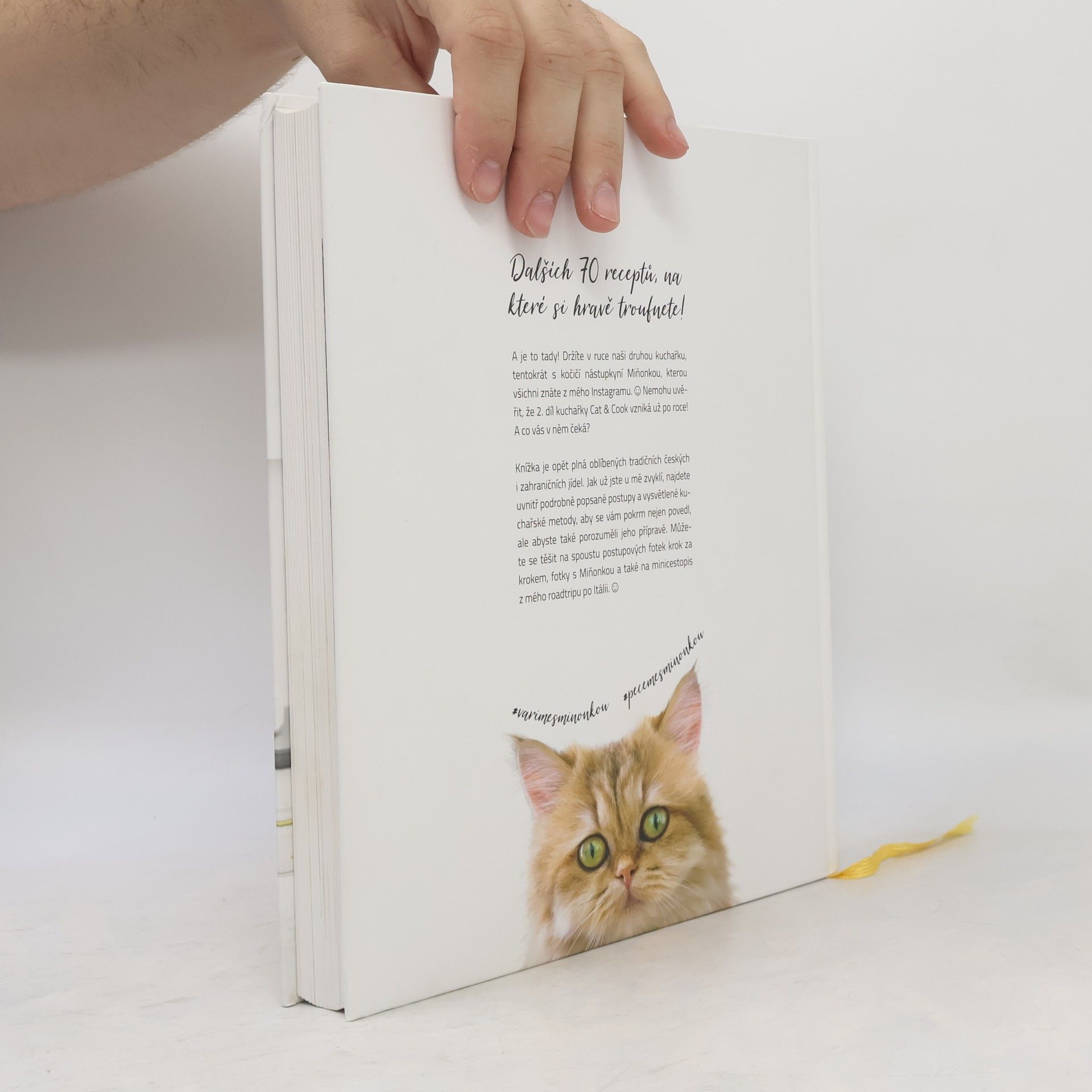 Ivka Jindřichová Cat & Cook 2