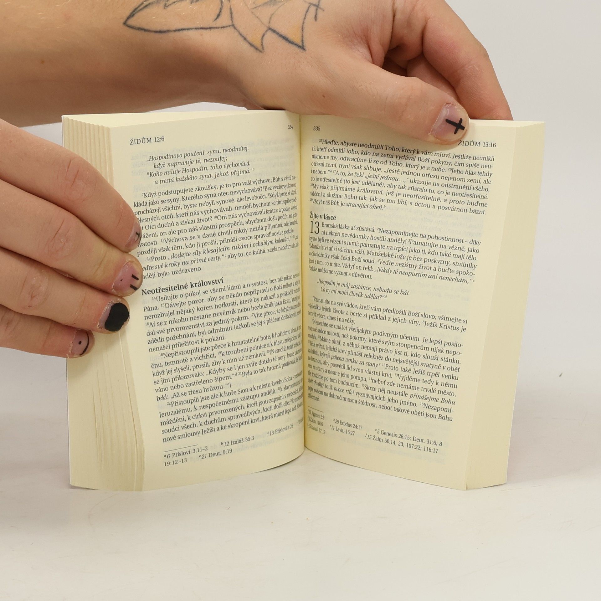 Alexandr Flek Nový zákon. Žalmy. Nová Bible kralická