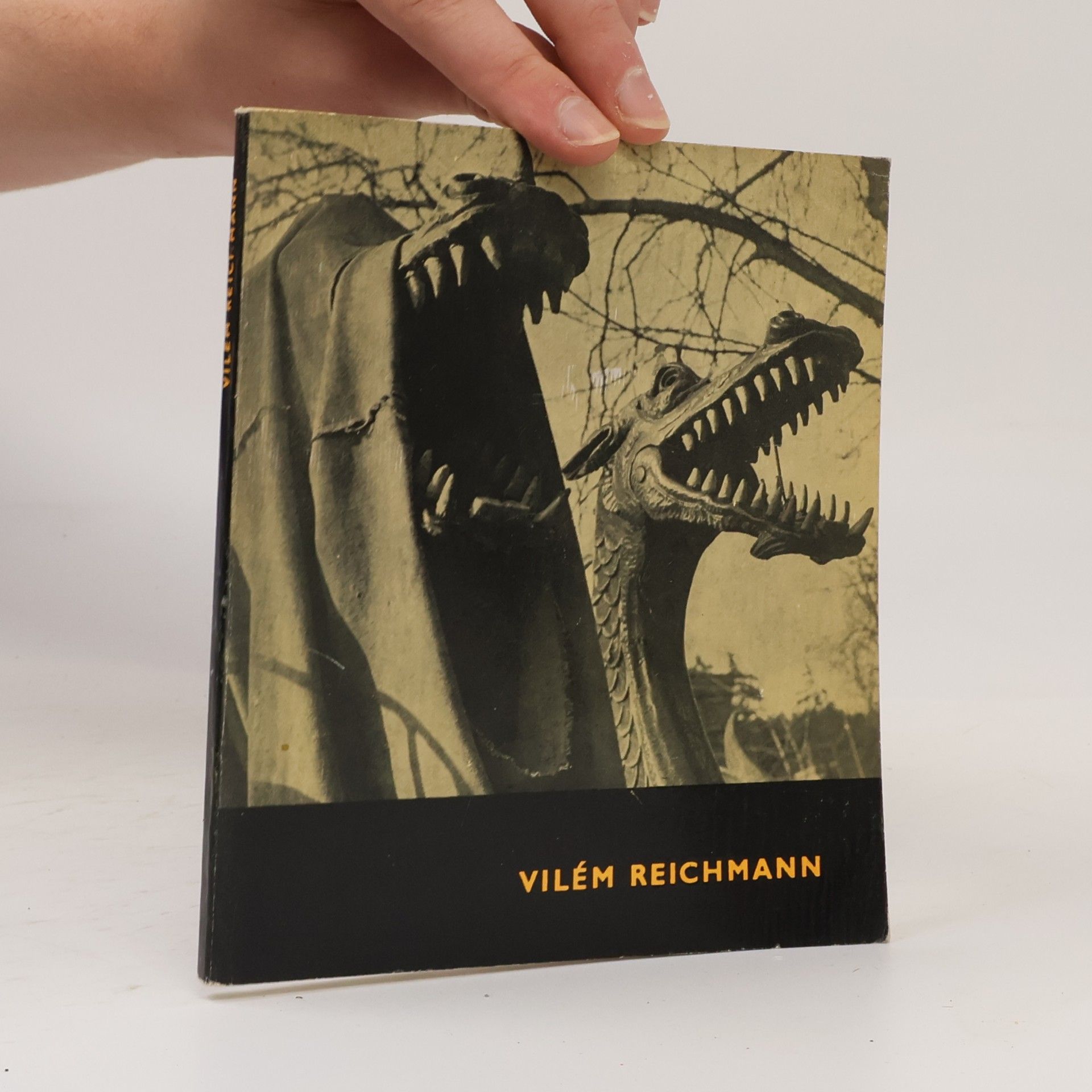 Václav Zykmund Vilém Reichmann - Cykly