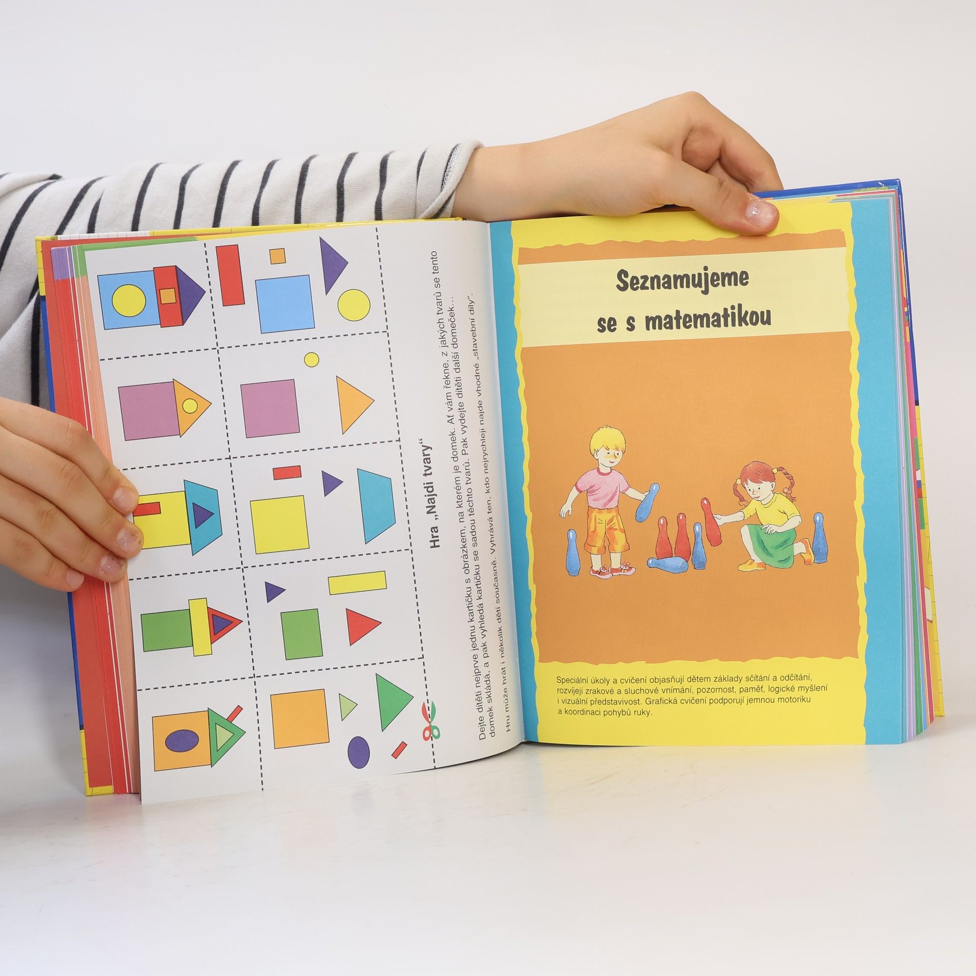 Autorenkollektiv Připravujeme se do školy : pro děti 5-6 let