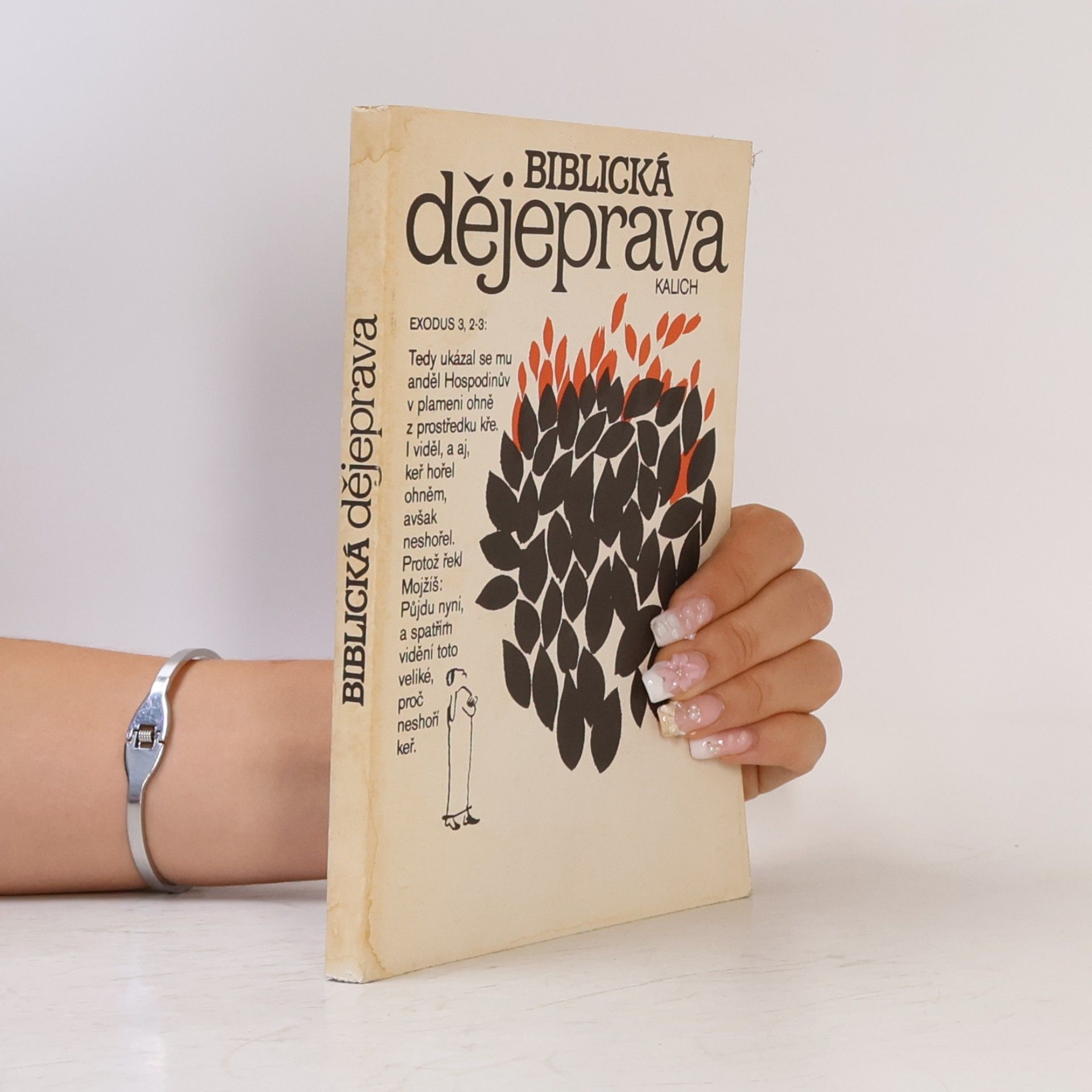 Collectif d'auteurs Biblická dějeprava
