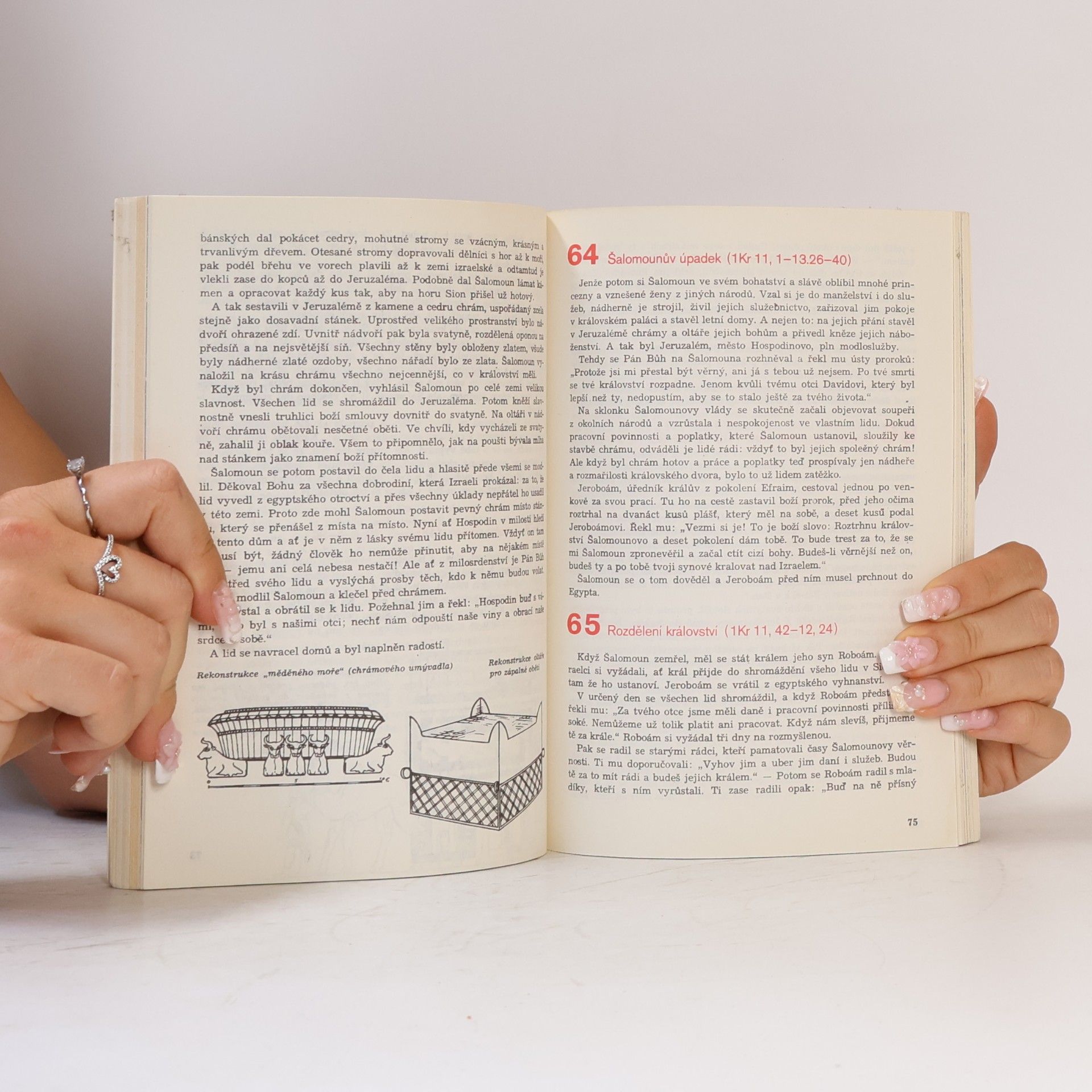 Collectif d'auteurs Biblická dějeprava