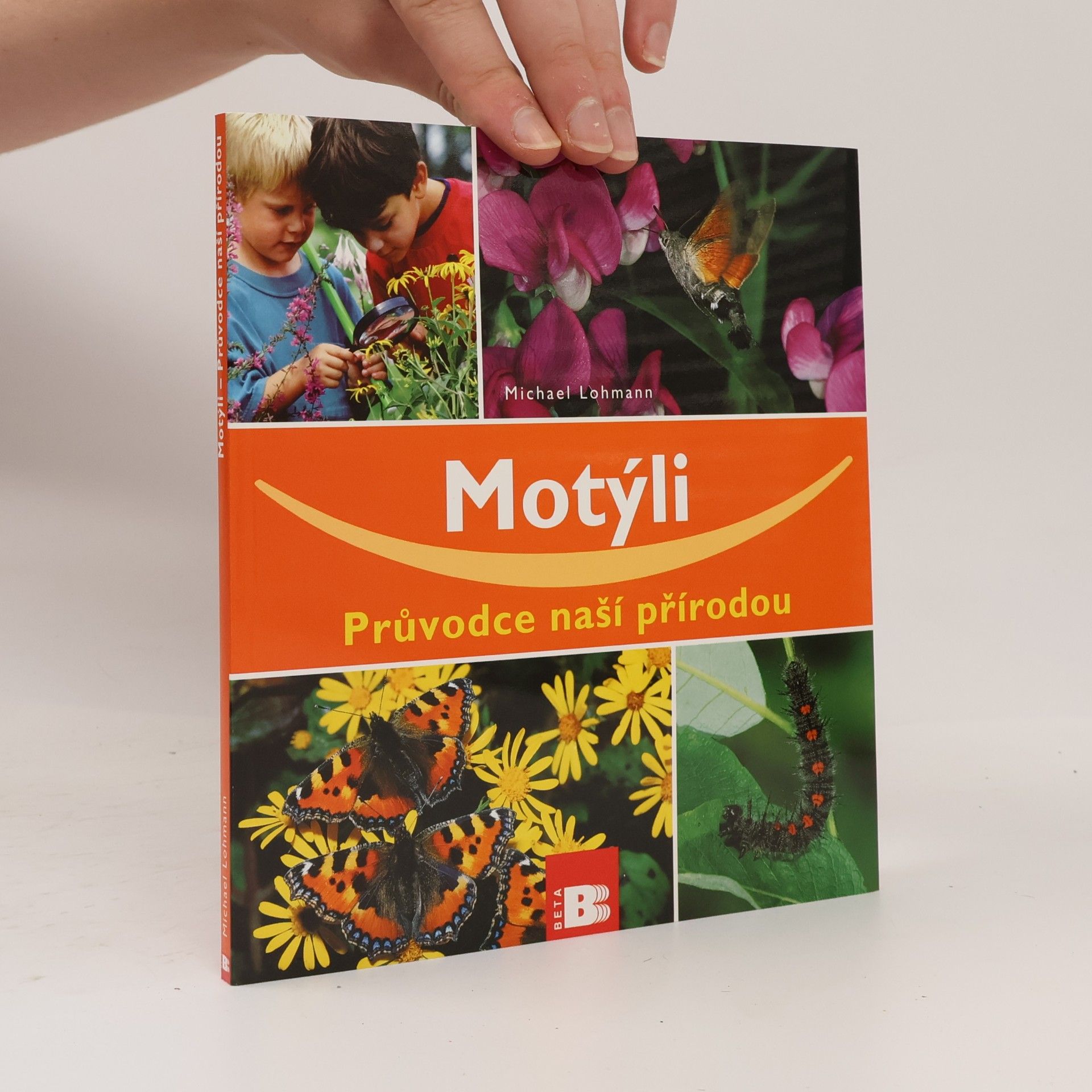 Michael Lohmann Motýli - Průvodce naší přírodou