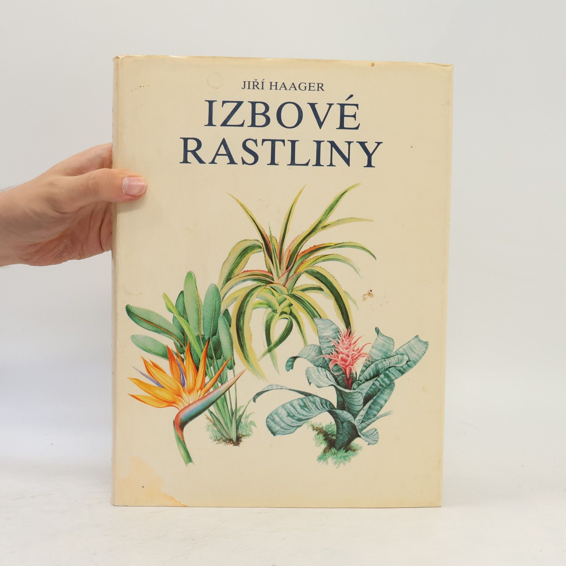 Jiří R. Haager Izbové rastliny