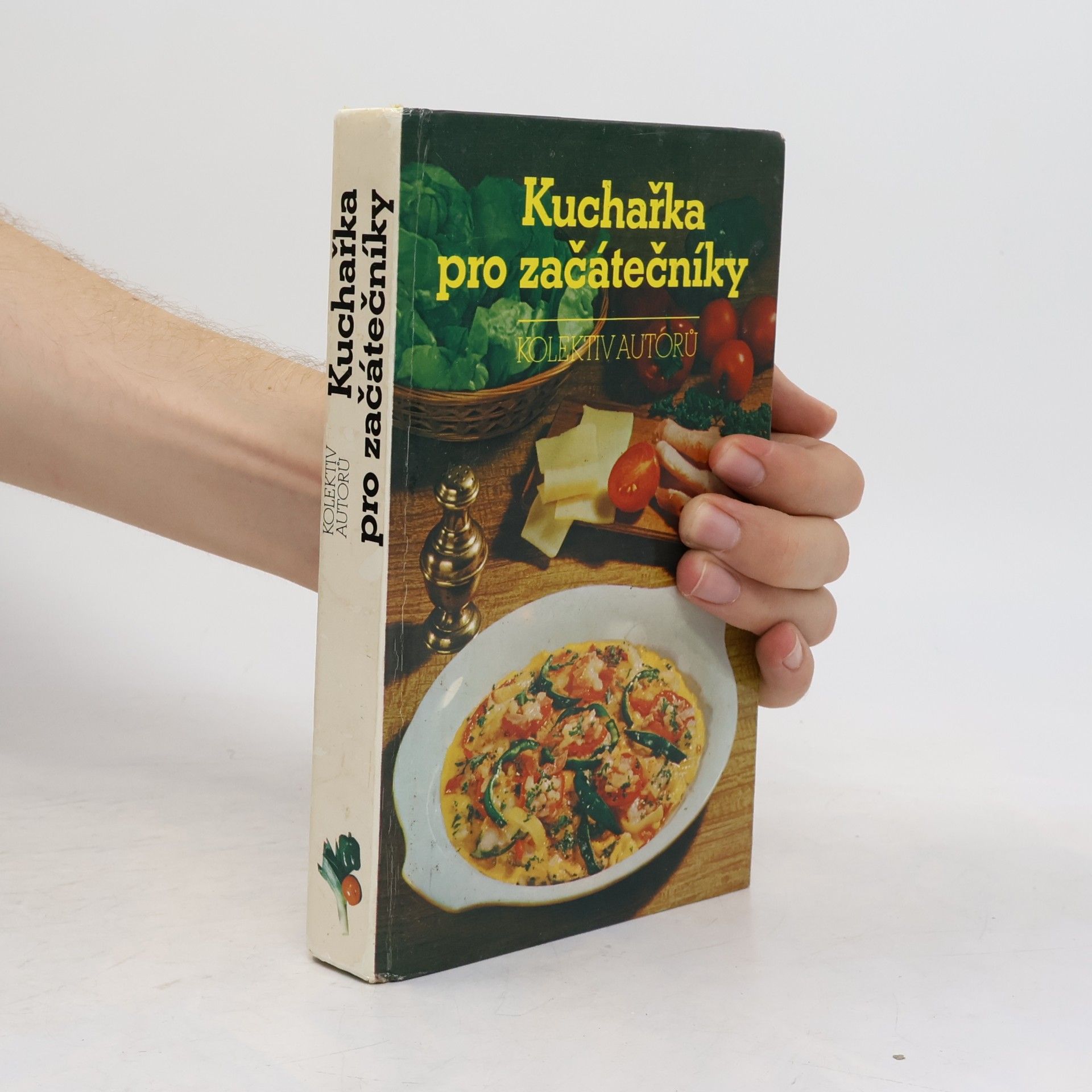 Marie Voldánová Kuchařka pro začátečníky