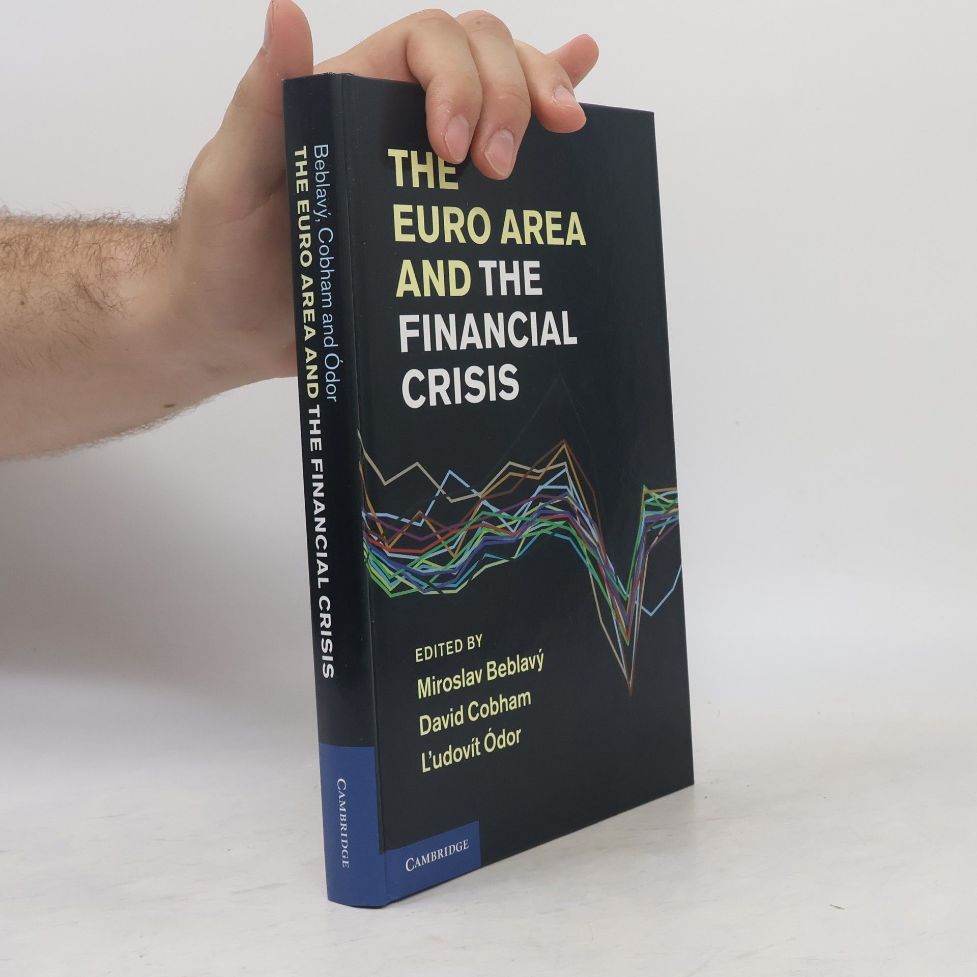 Collectif d'auteurs The Euro Area and the Financial Crisis