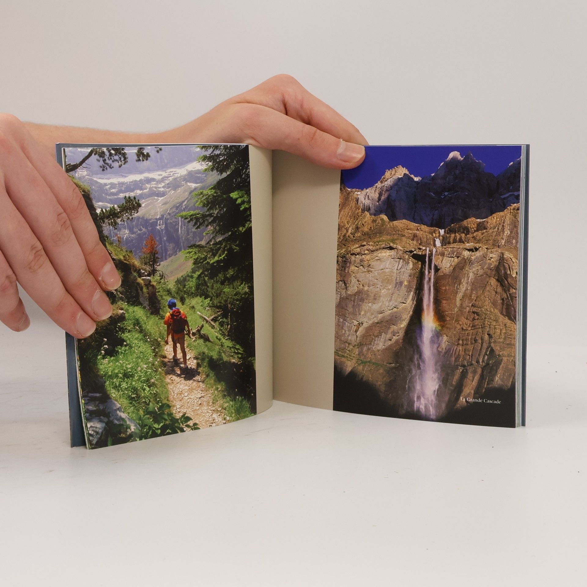 with forewords by Daniel Boulud and Dominique Crenn Julien Royer Pyrénées: Gavarnie