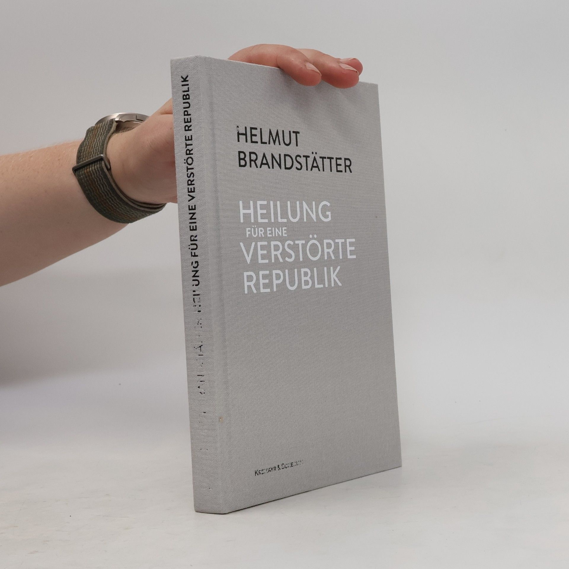 Helmut Brandstätter Heilung für eine verstörte Republik