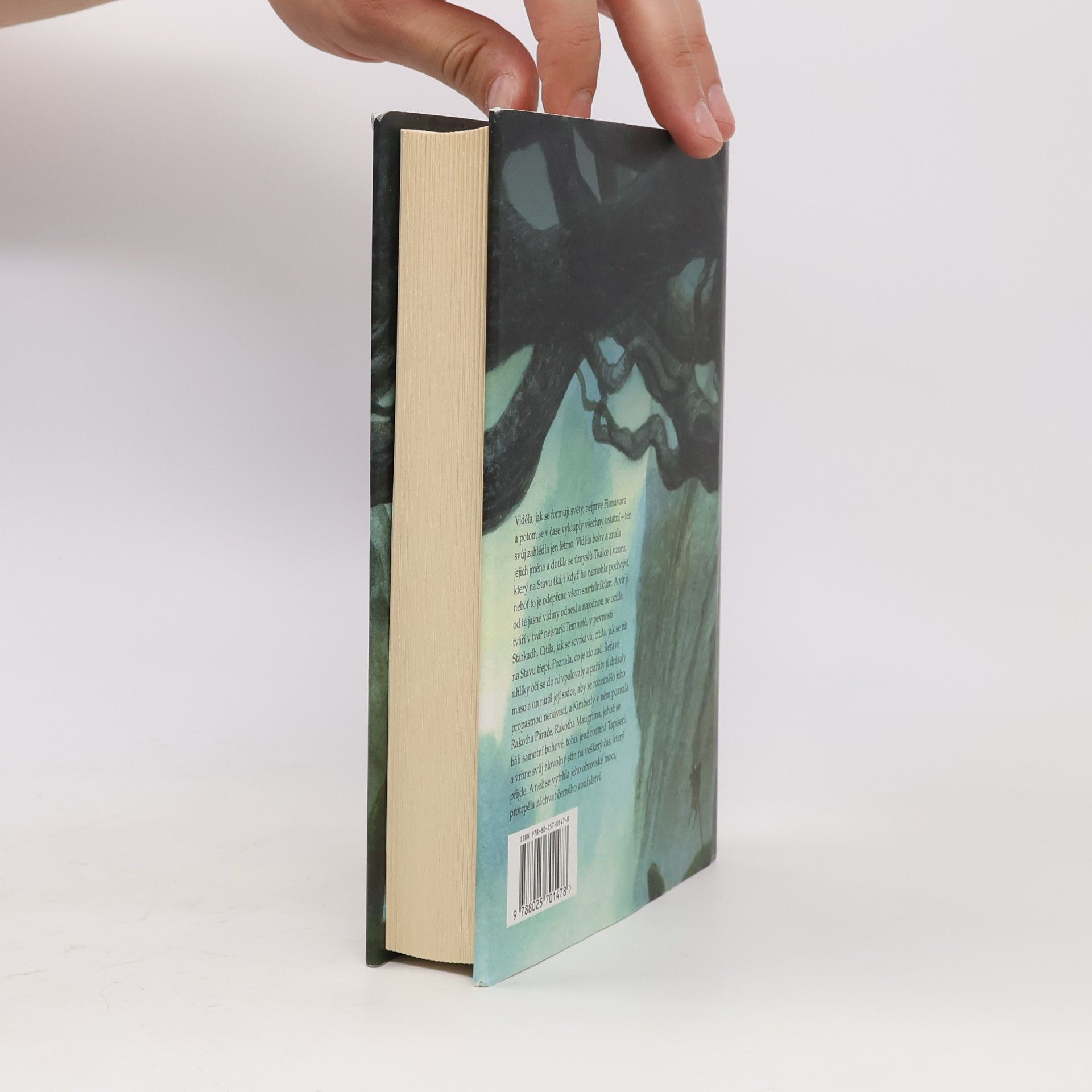 Guy Gavriel Kay Fionavarská tapiserie. Kniha první, Letní strom