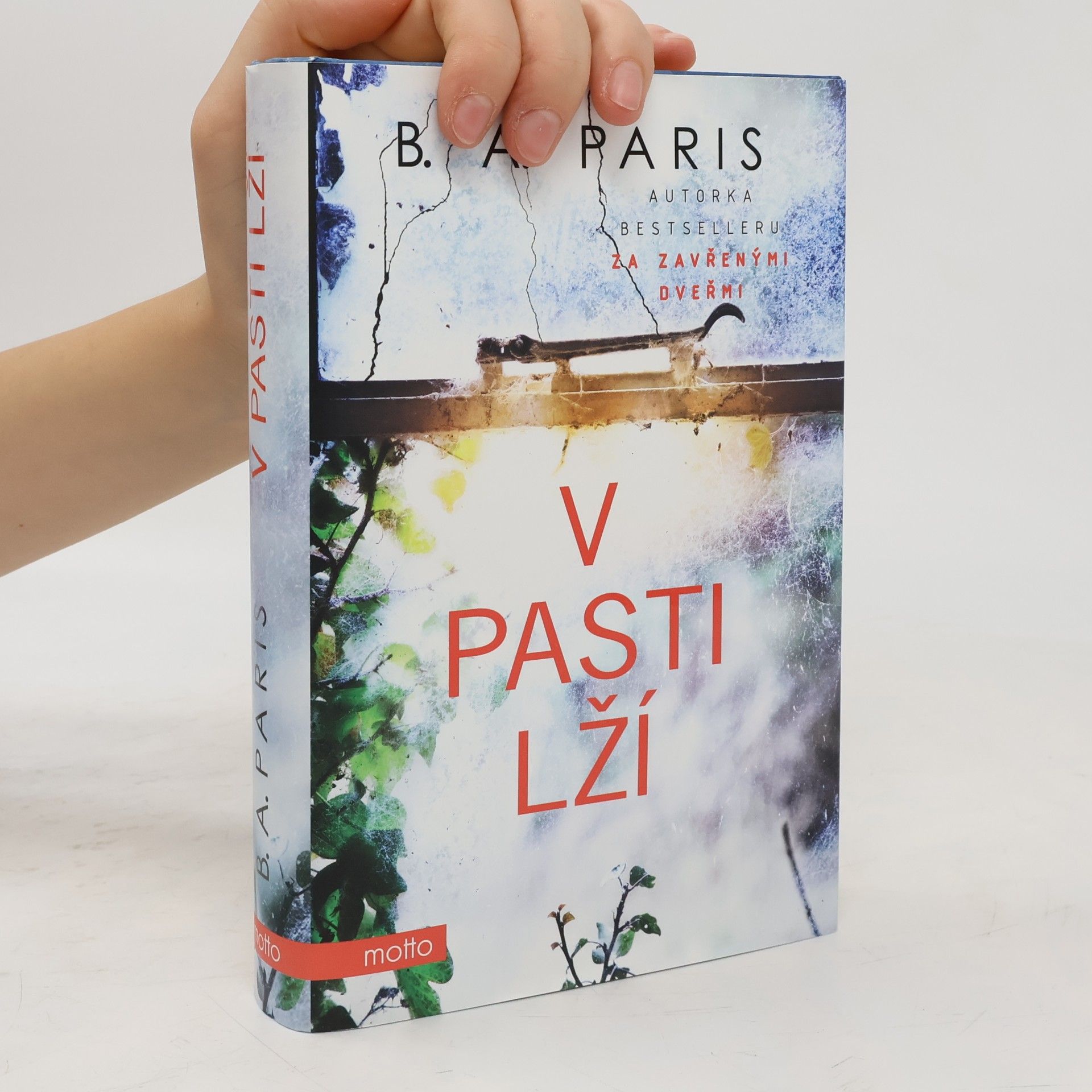 B. A. Paris V pasti lží