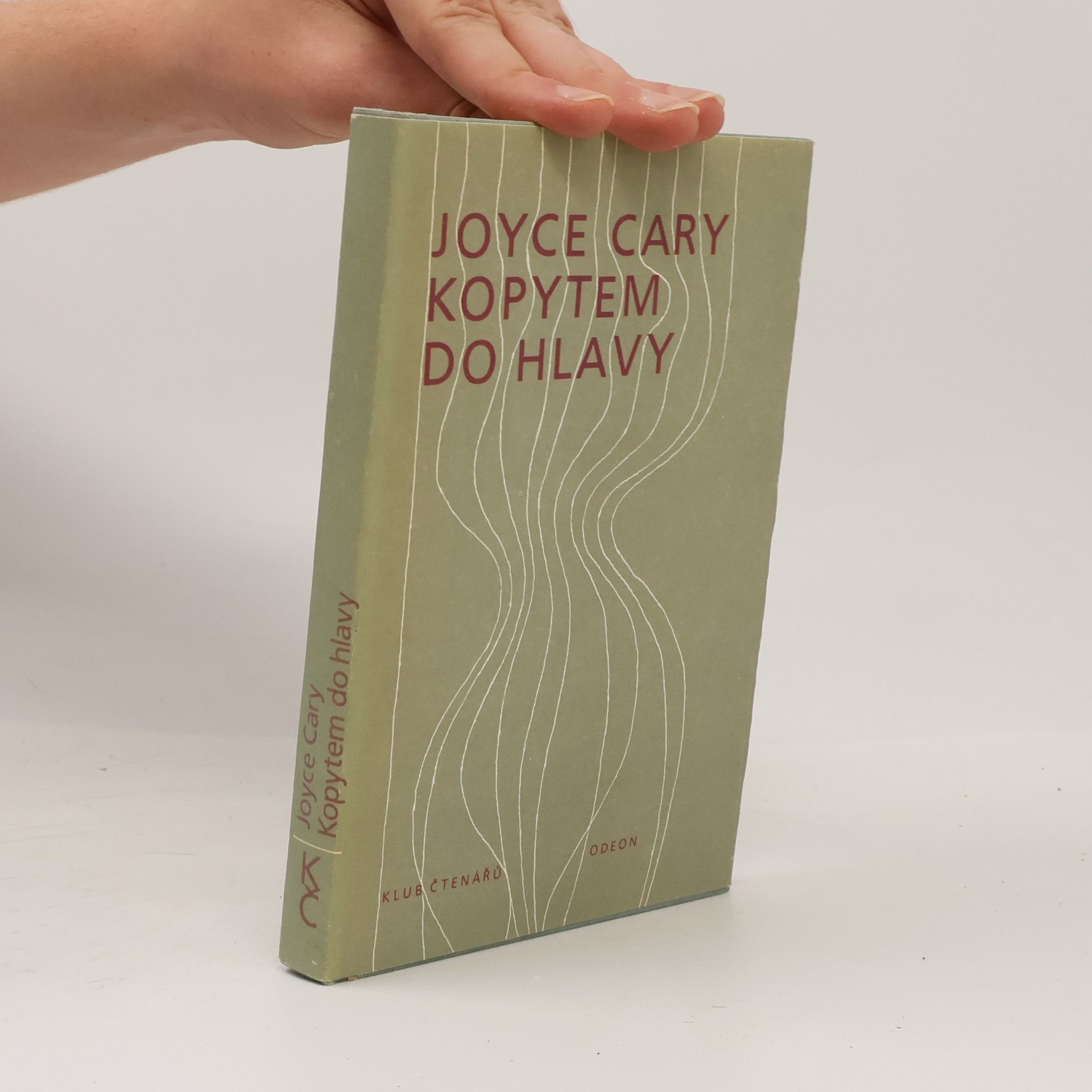 Joyce Cary Kopytem do hlavy