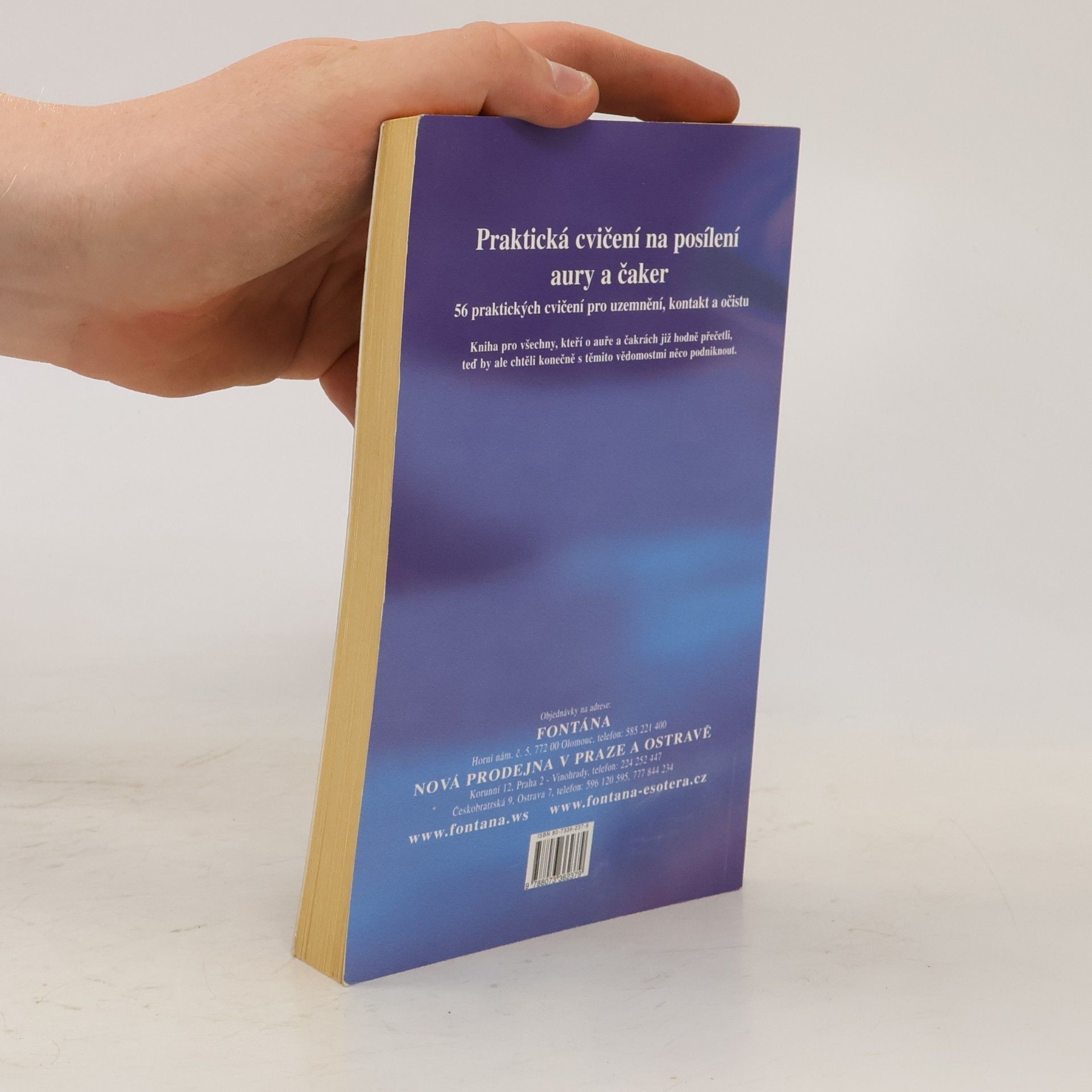 Ursula Georgii Praktická cvičení na posílení aury a čaker