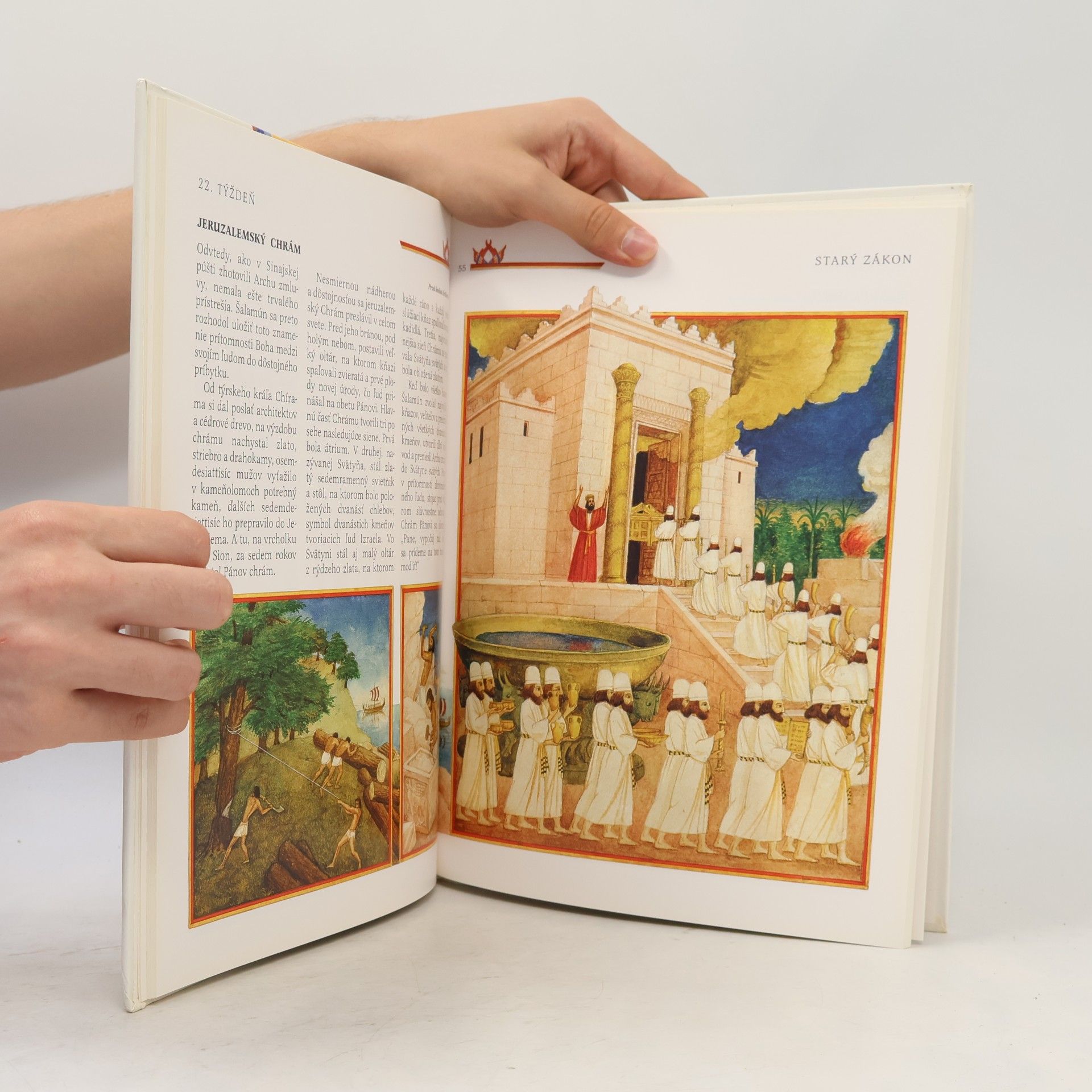 Roberto Brunelli Svätá Biblia