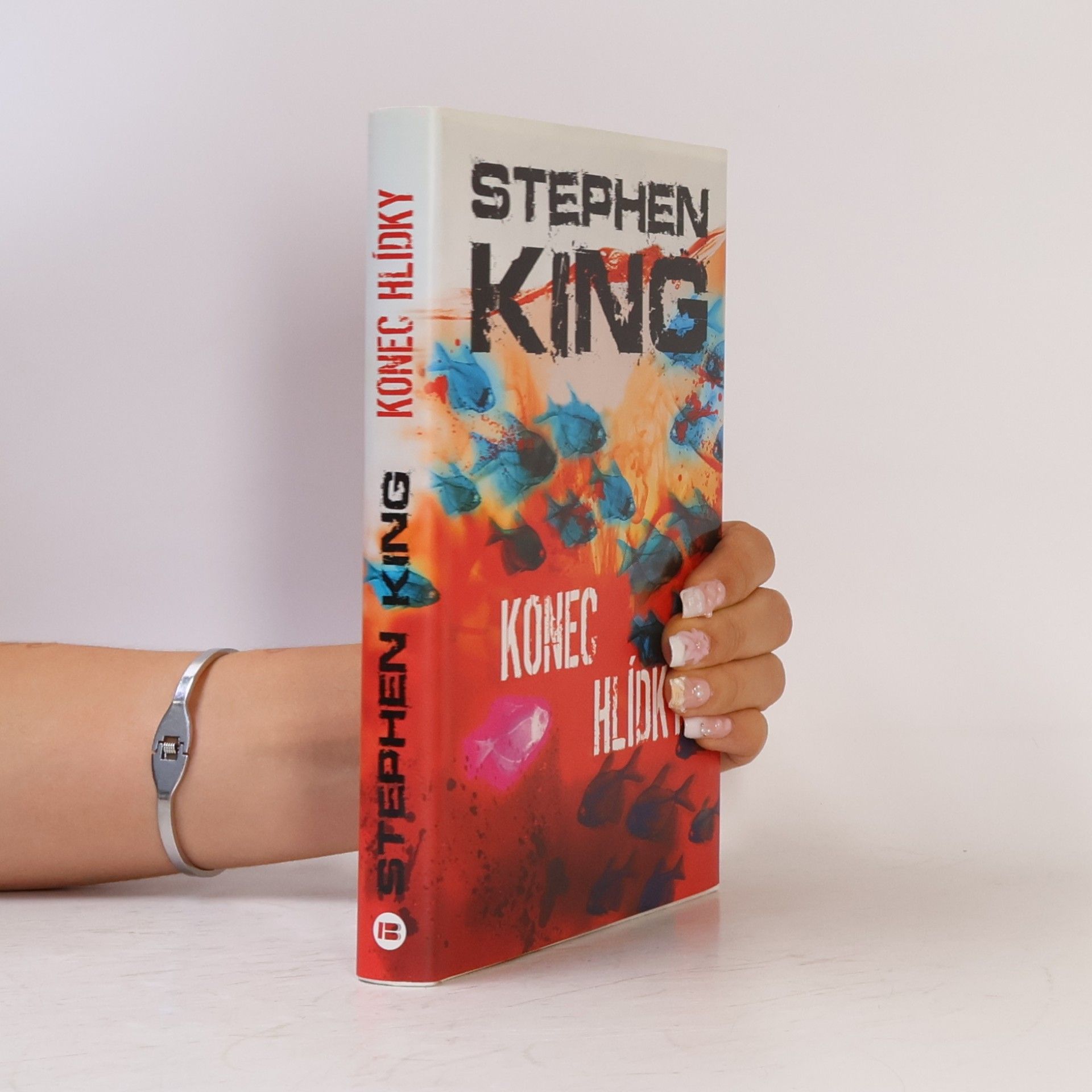 Stephen King Konec hlídky