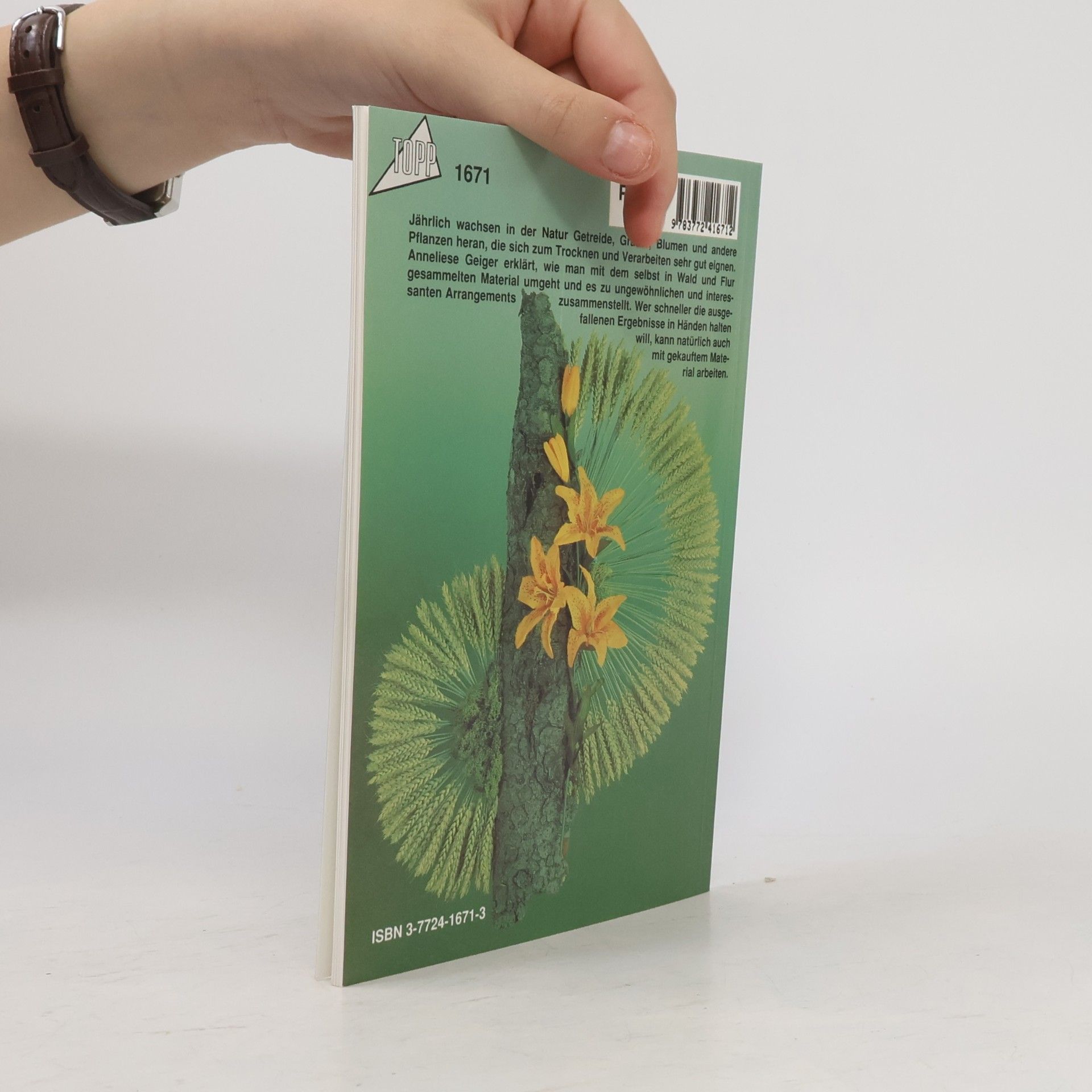 Getreide - Gräser - Blumen