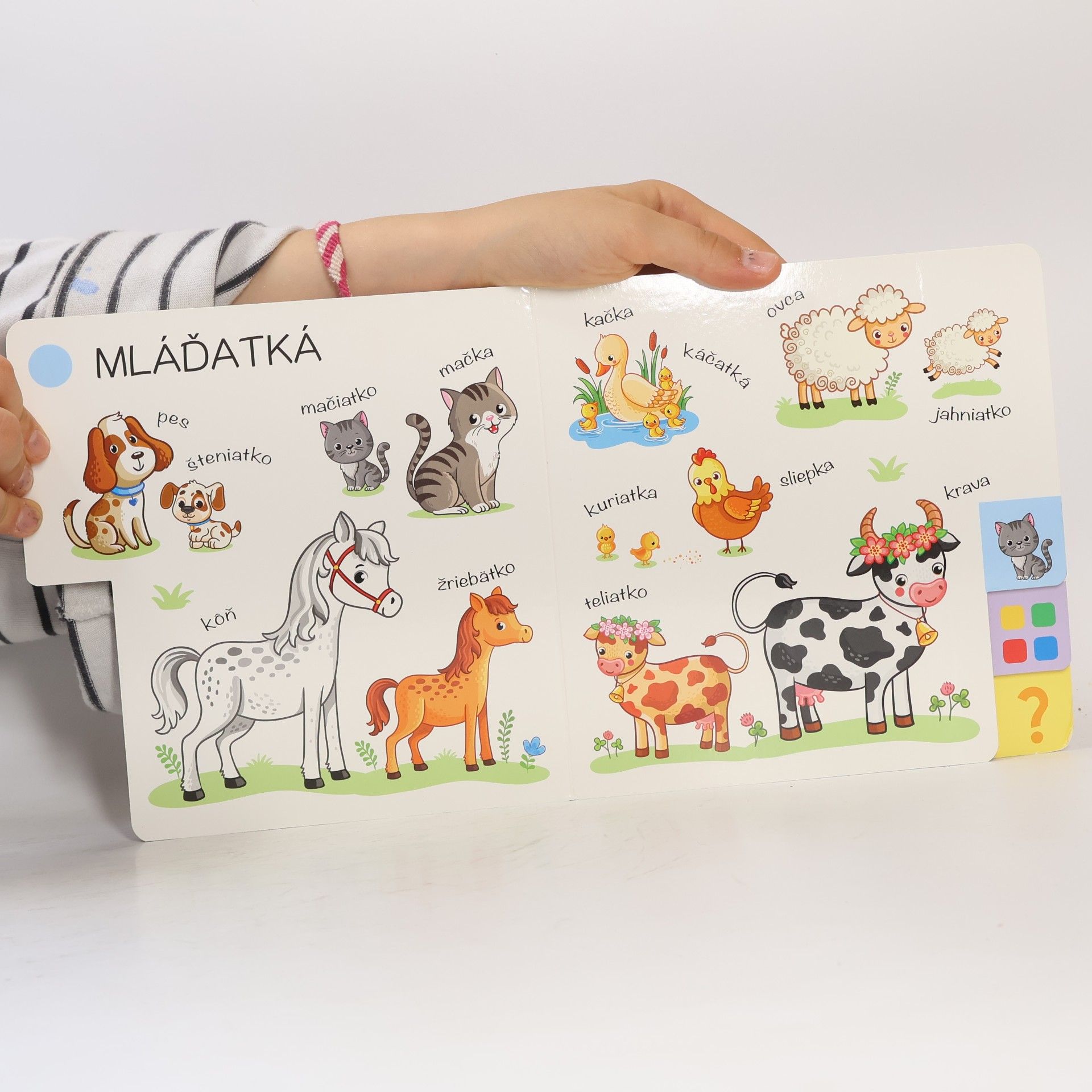 Collectif d'auteurs U nás na farmě