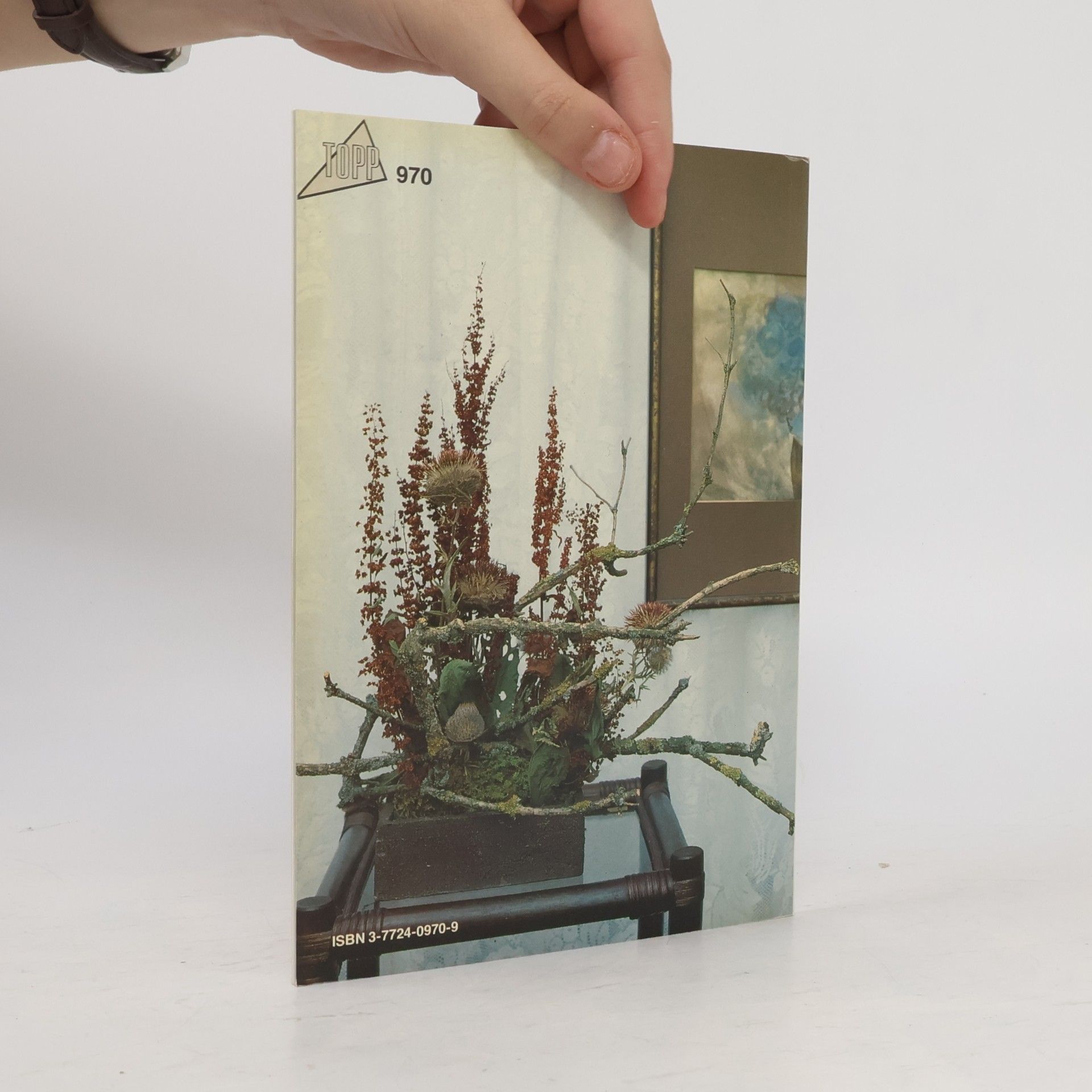 Friedhelm Raffel Trockenblumen