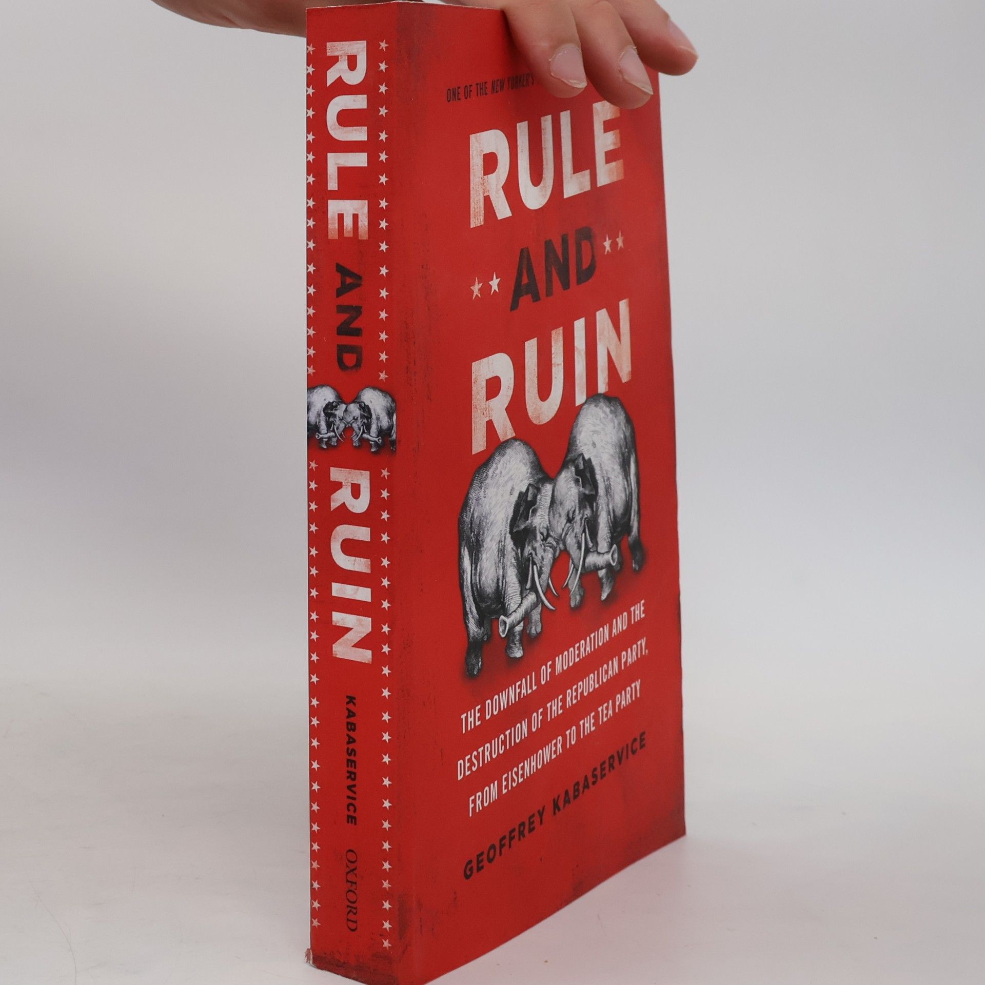 Geoffrey Kabaservice Rule and Ruin