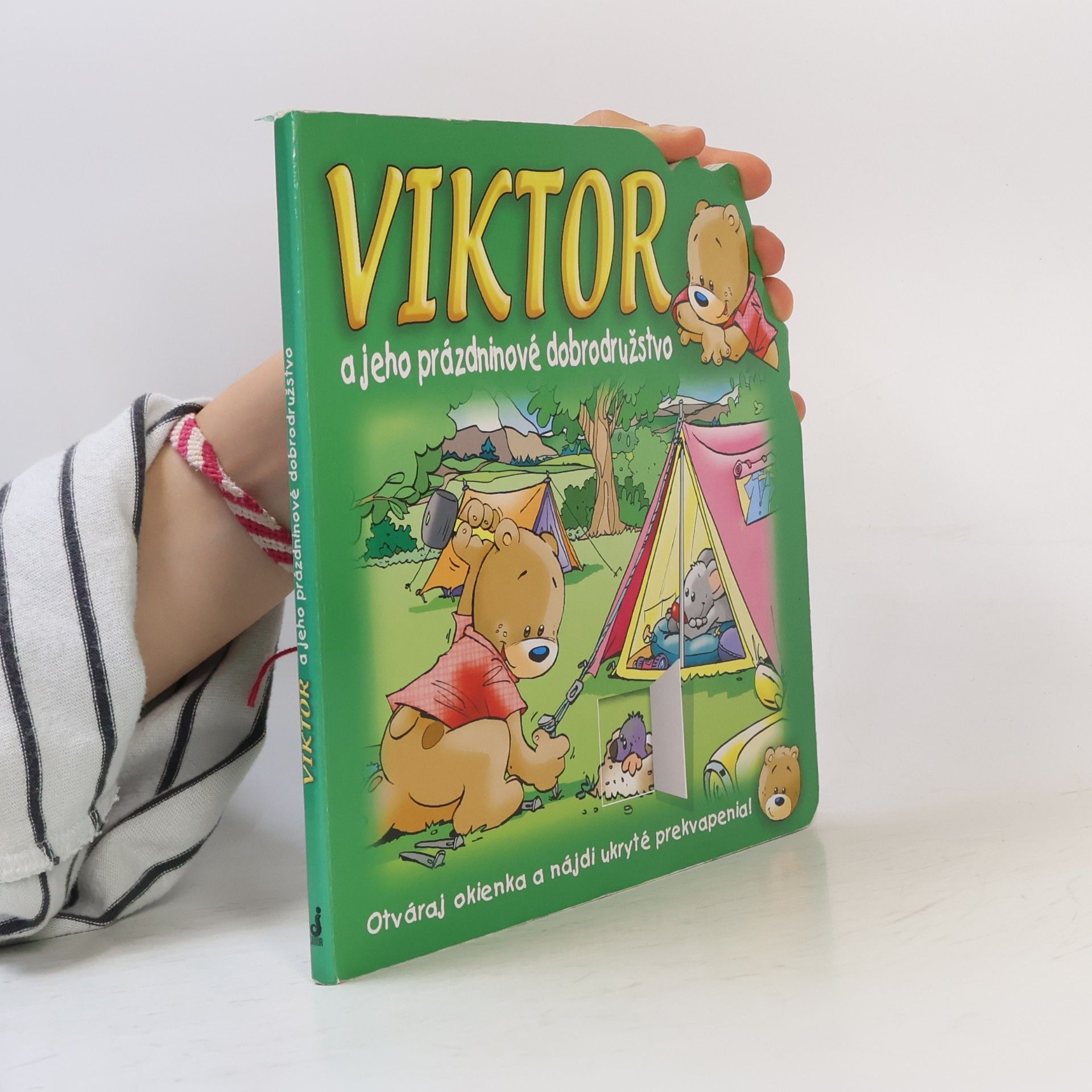 Kolektiv autorů Viktor a jeho prázdninové dobrodružstvo