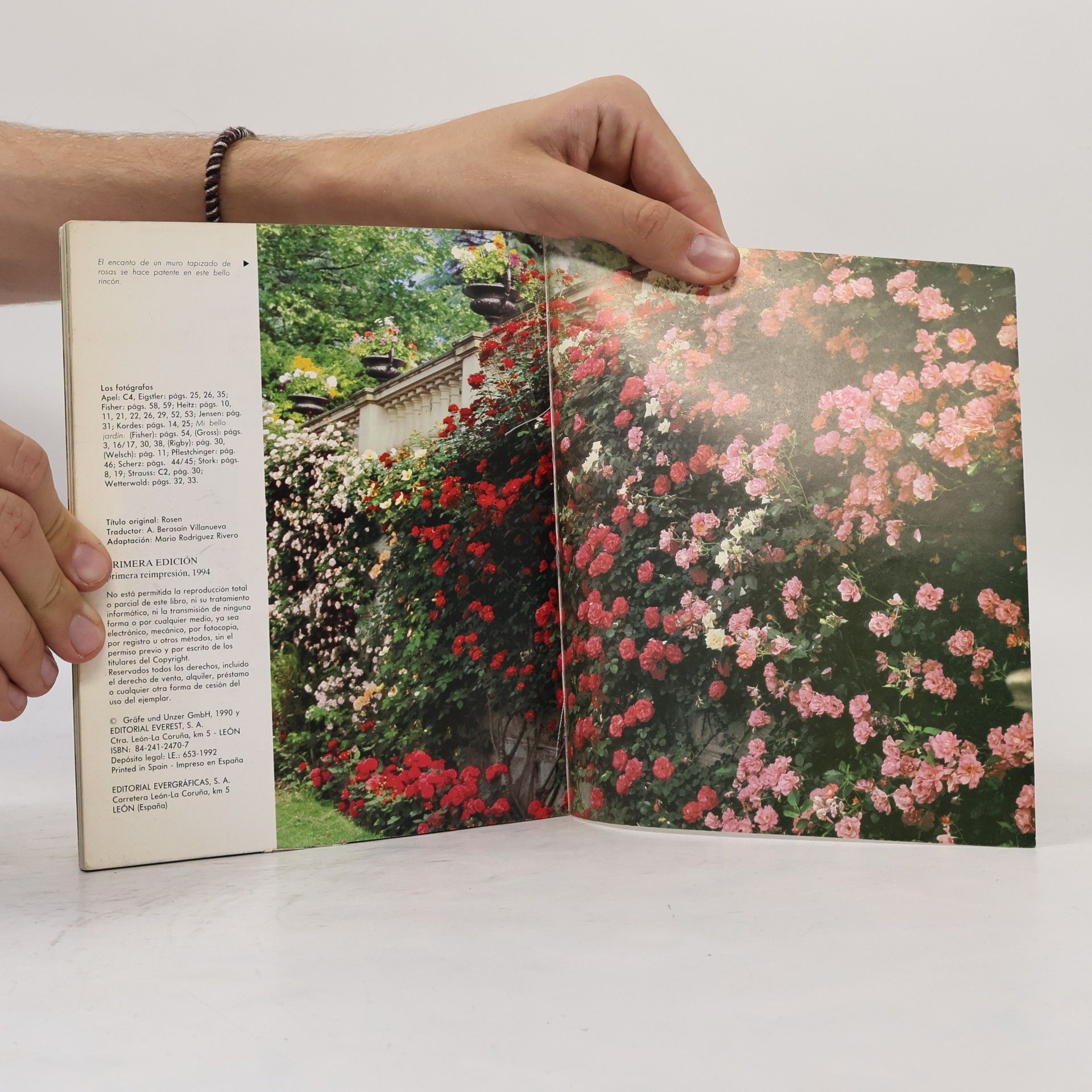 Halina Heitz Hogar, verde hogar: Rosas