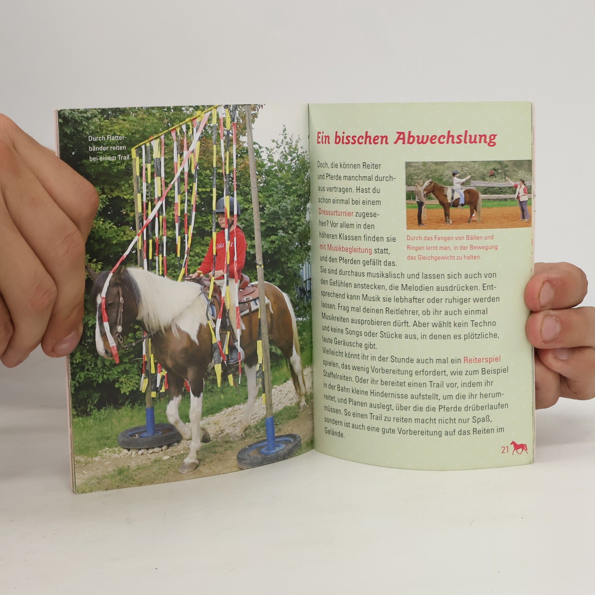 Cornelia Panzacchi Coppenraths Pferdewissen: Reiten lernen