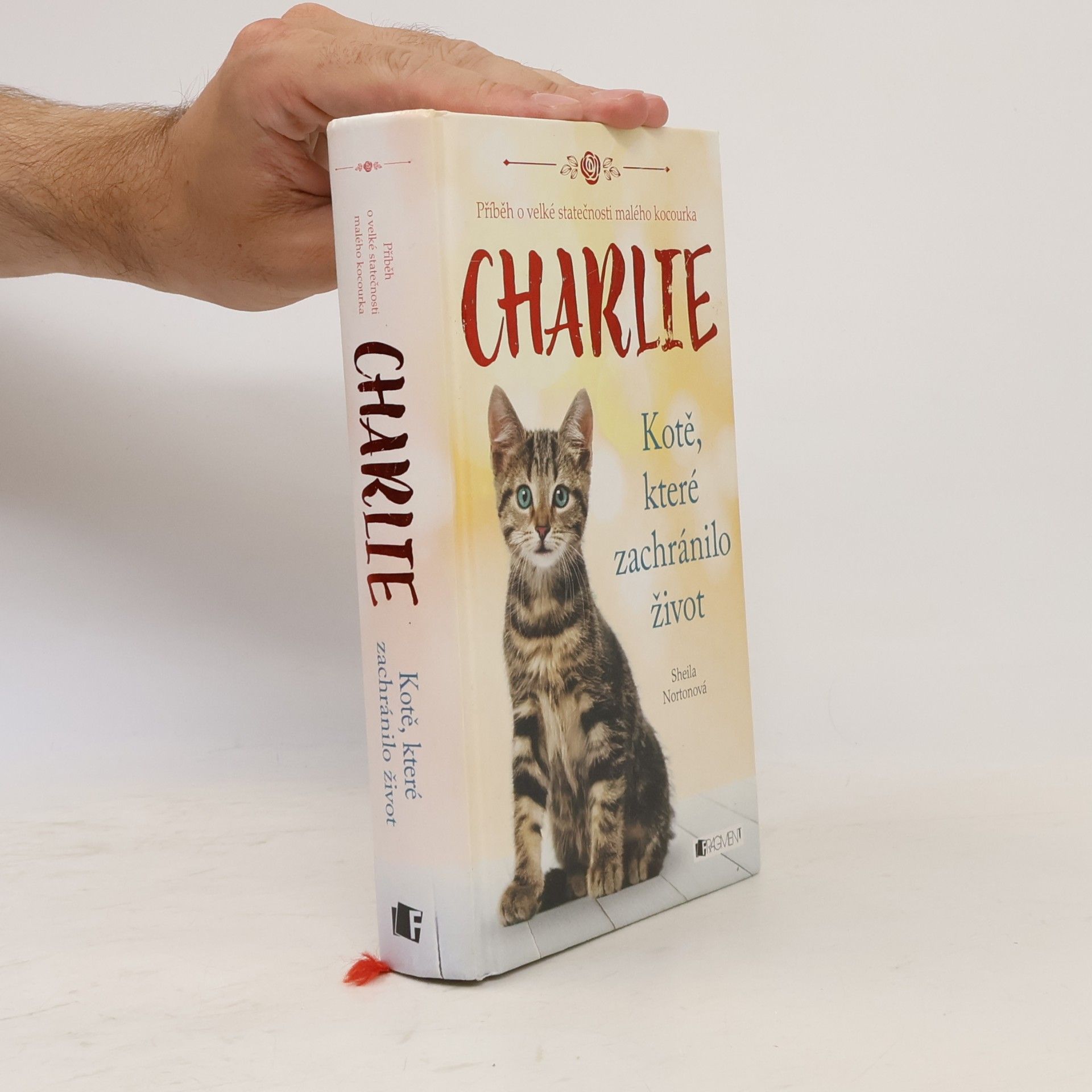 Sheila Norton Charlie - kotě, které zachránilo život