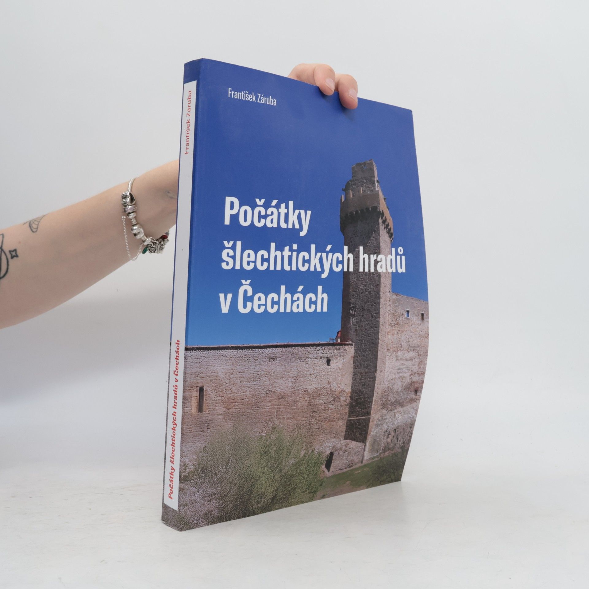František Záruba Počátky šlechtických hradů v Čechách
