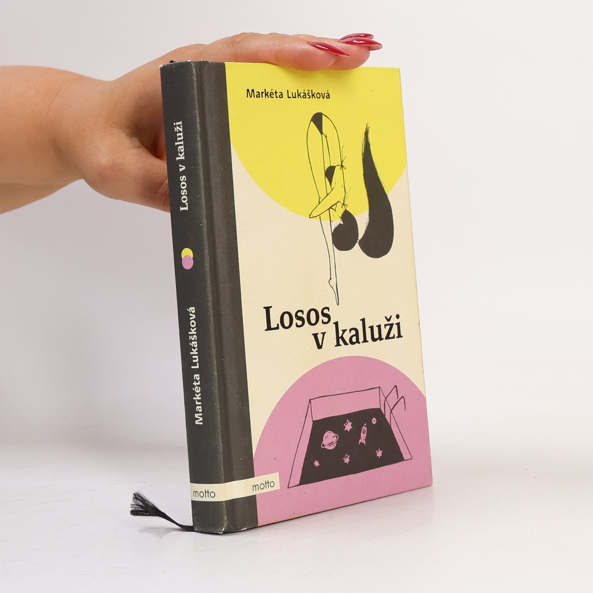 Markéta Lukášková Losos v kaluži